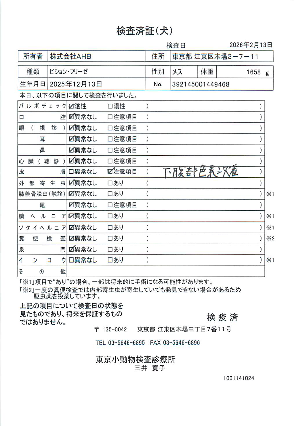 ビション・フリーゼ