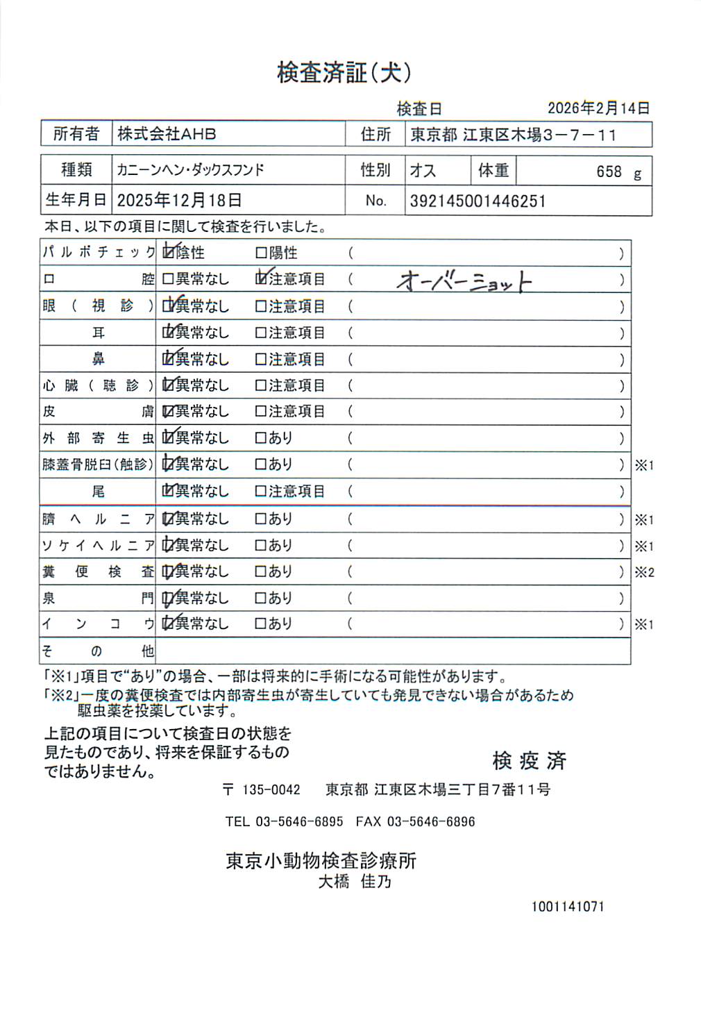 カニーンヘン・ダックスフンド