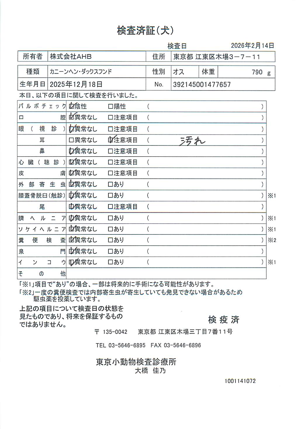 カニーンヘン・ダックスフンド