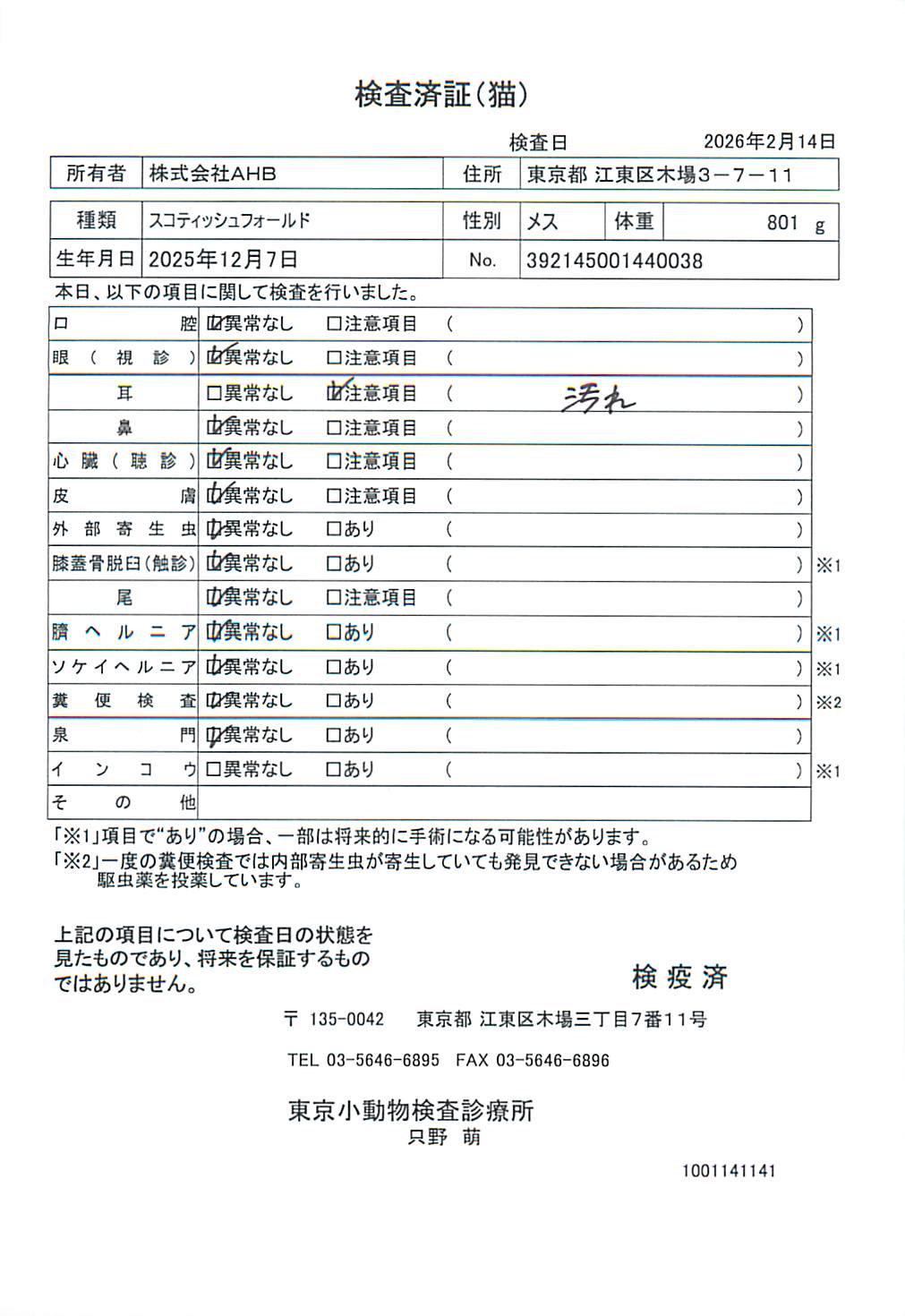 スコティッシュフォールド