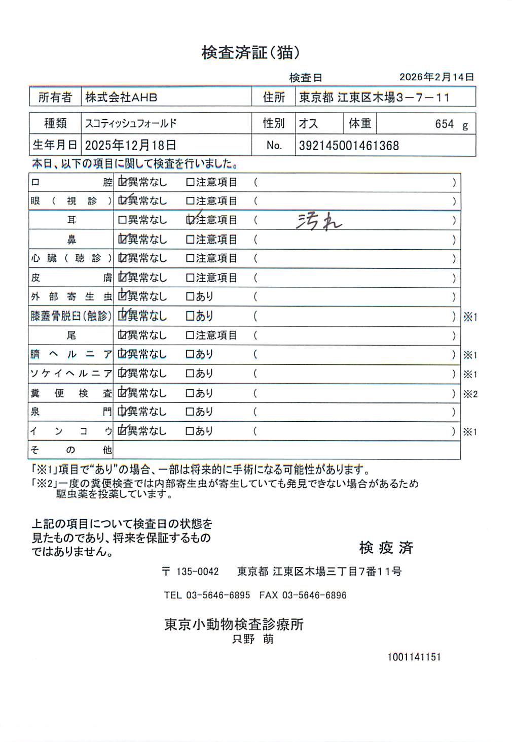 スコティッシュフォールド