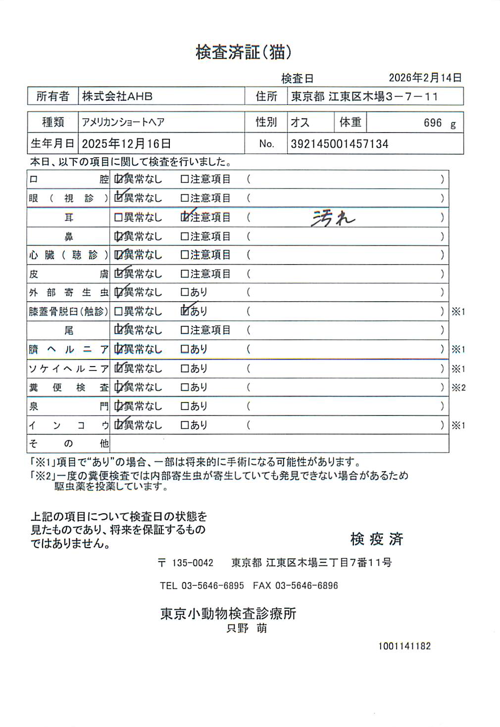 アメリカンショートヘア