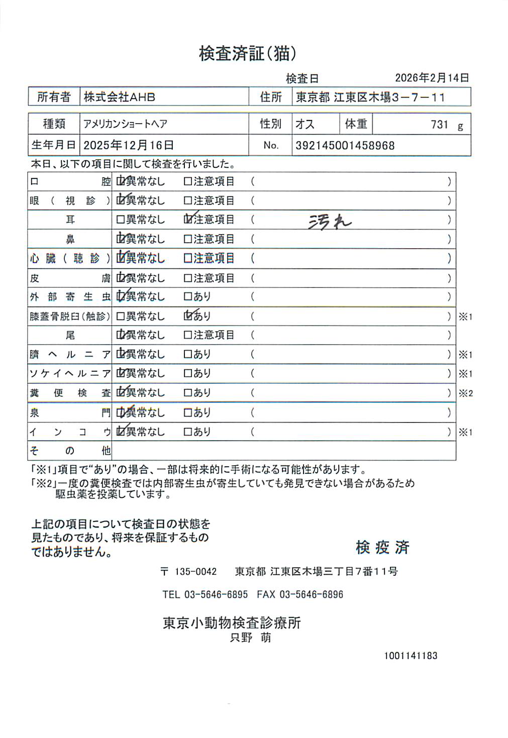 アメリカンショートヘア