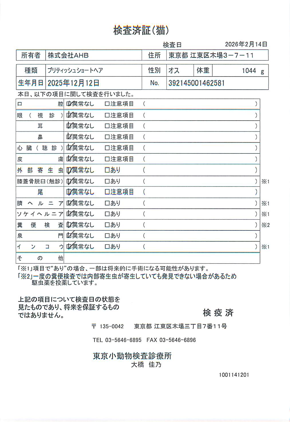 ブリティッシュショートヘア