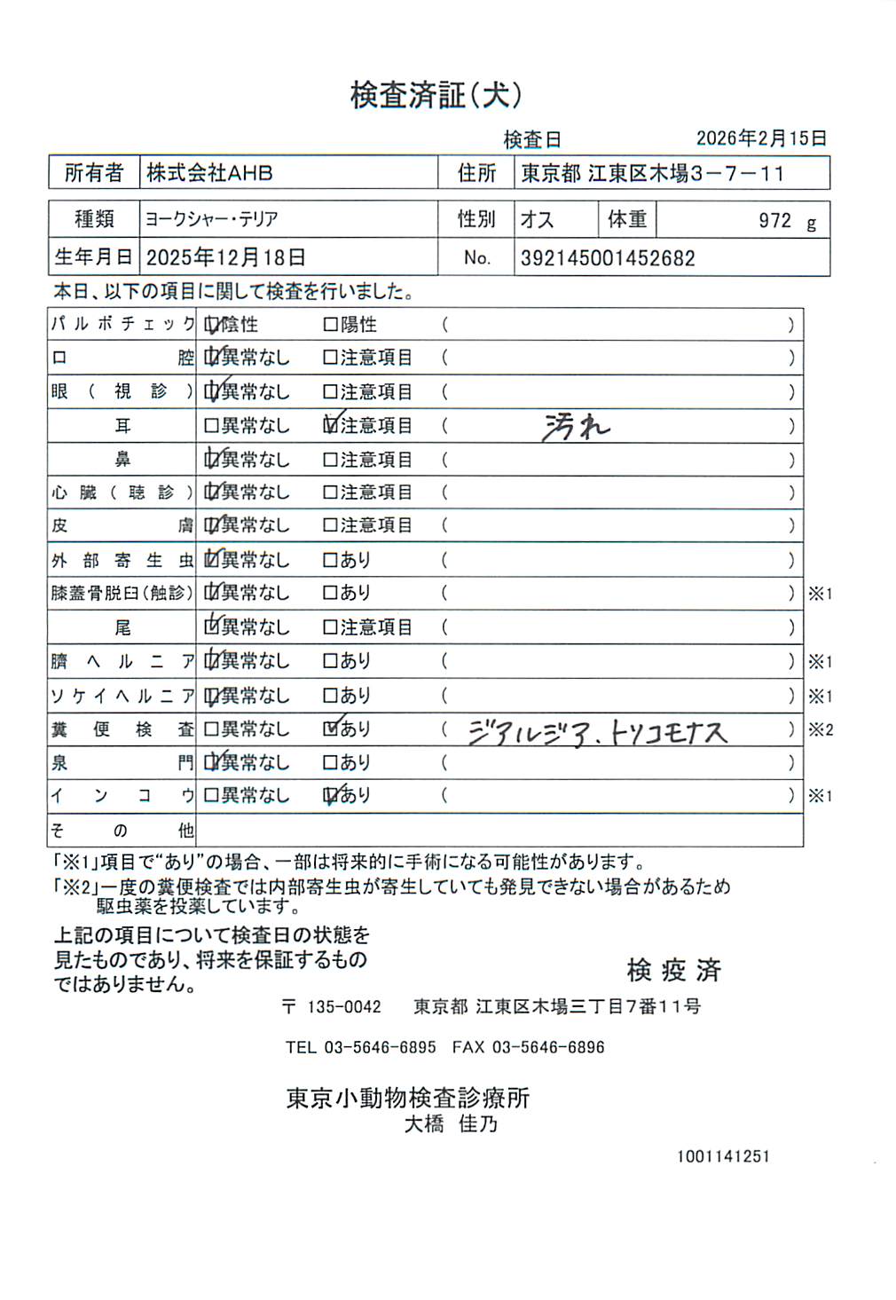 ヨークシャー・テリア