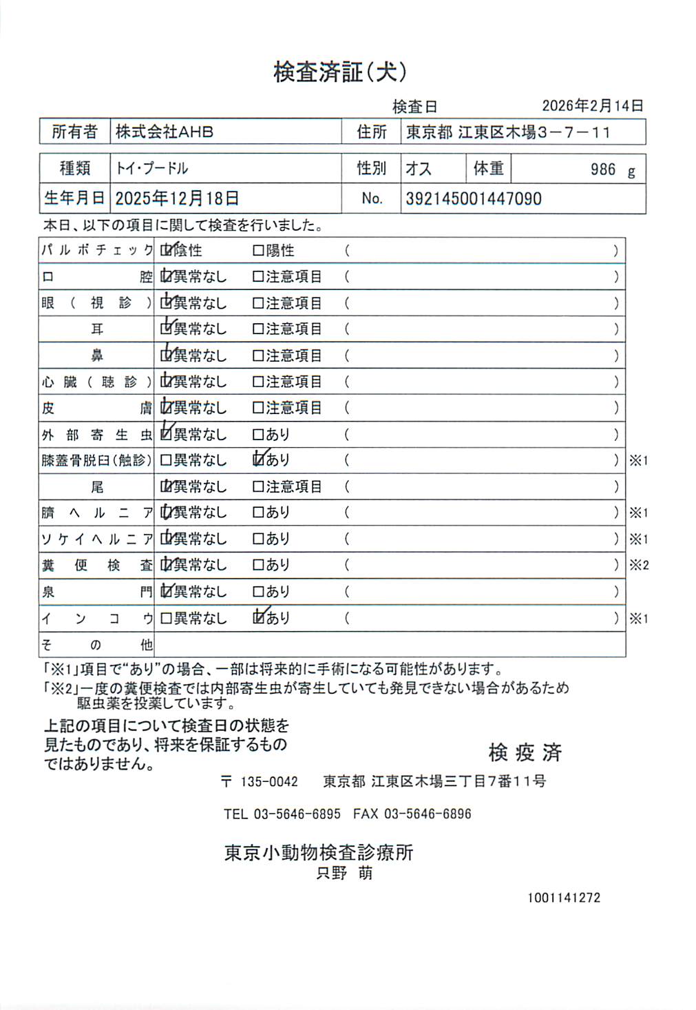 トイ・プードル