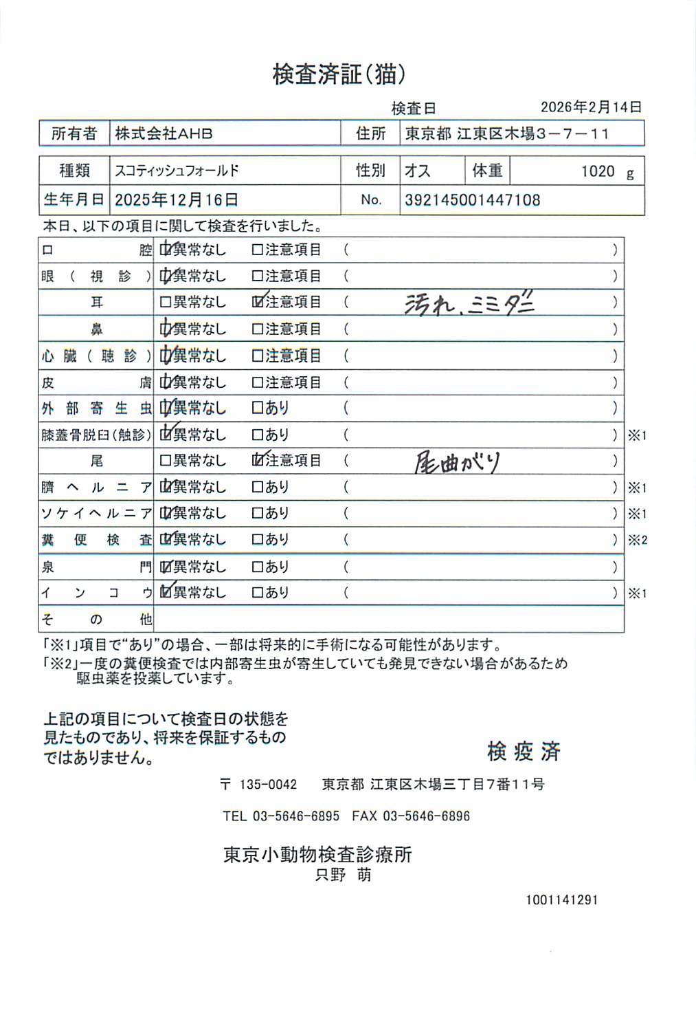 スコティッシュフォールド