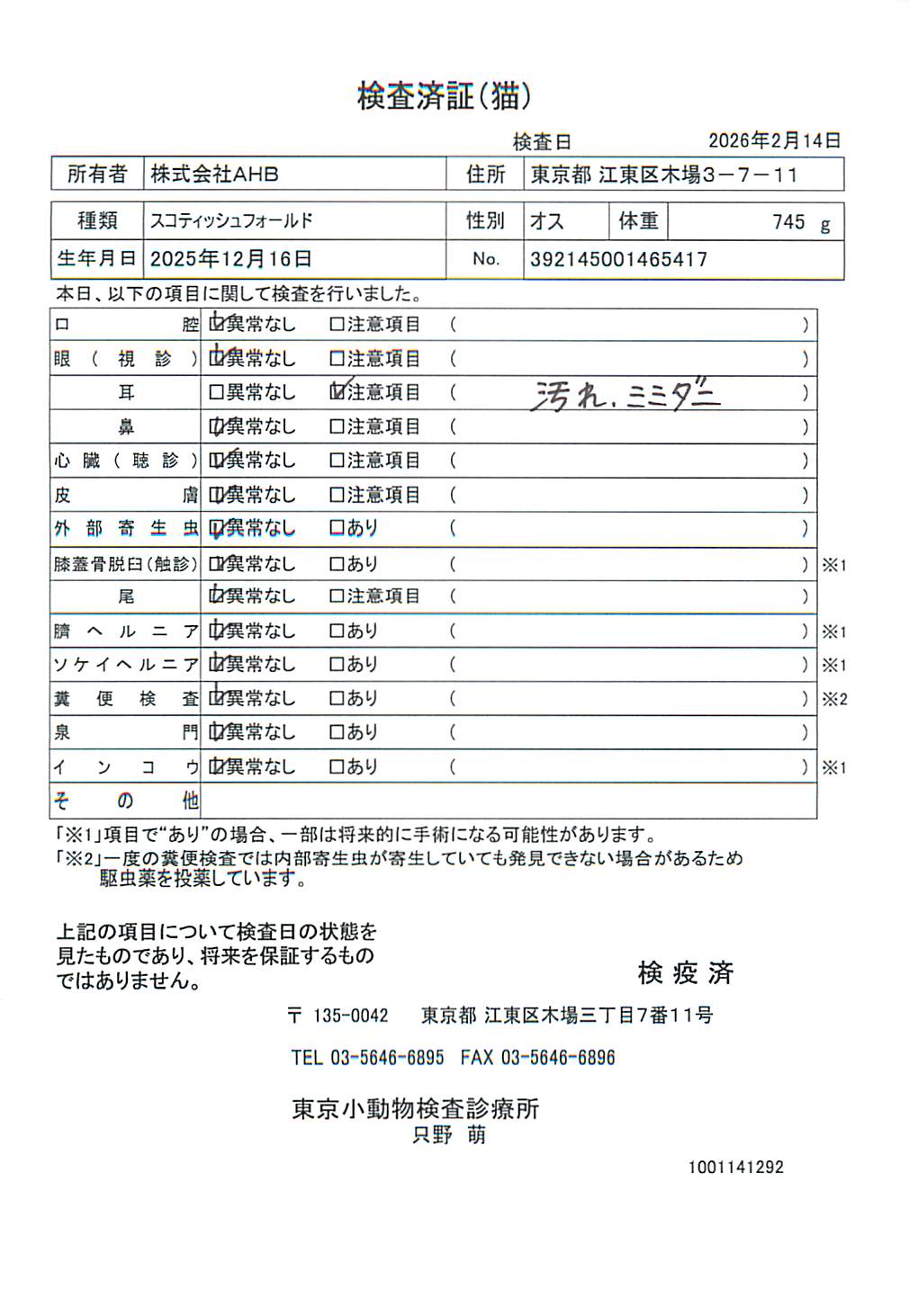 スコティッシュフォールド