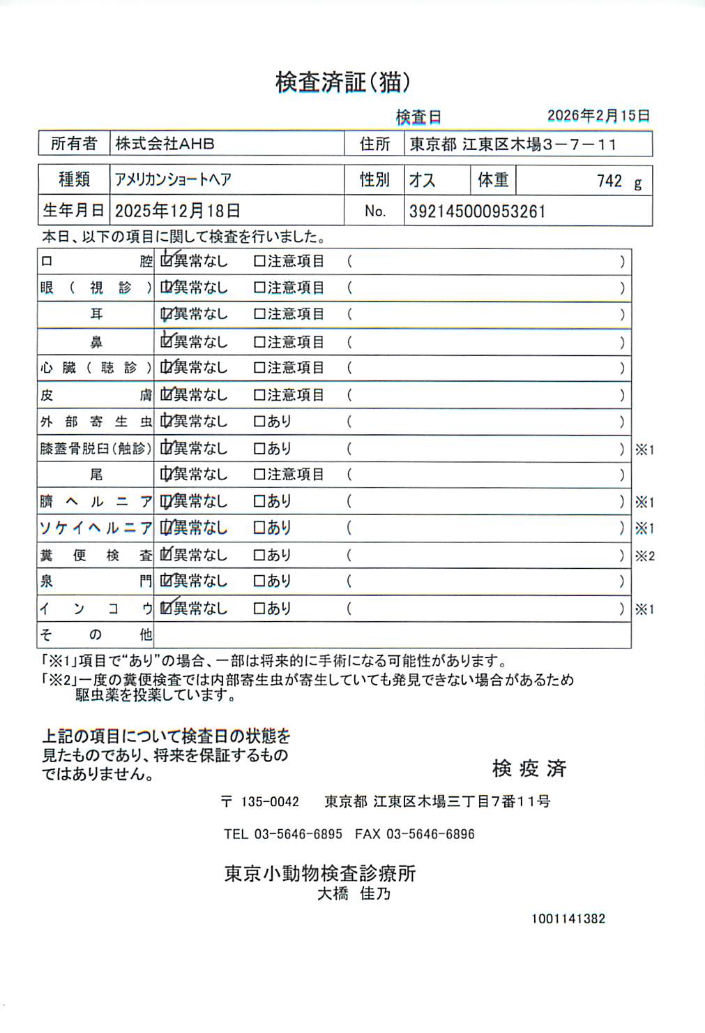 アメリカンショートヘア