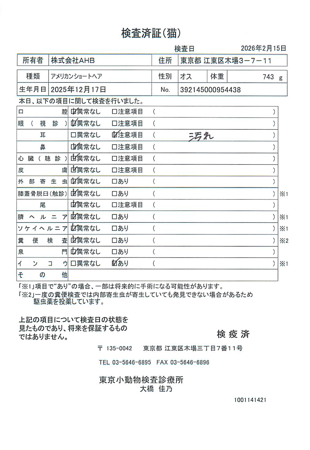 アメリカンショートヘア