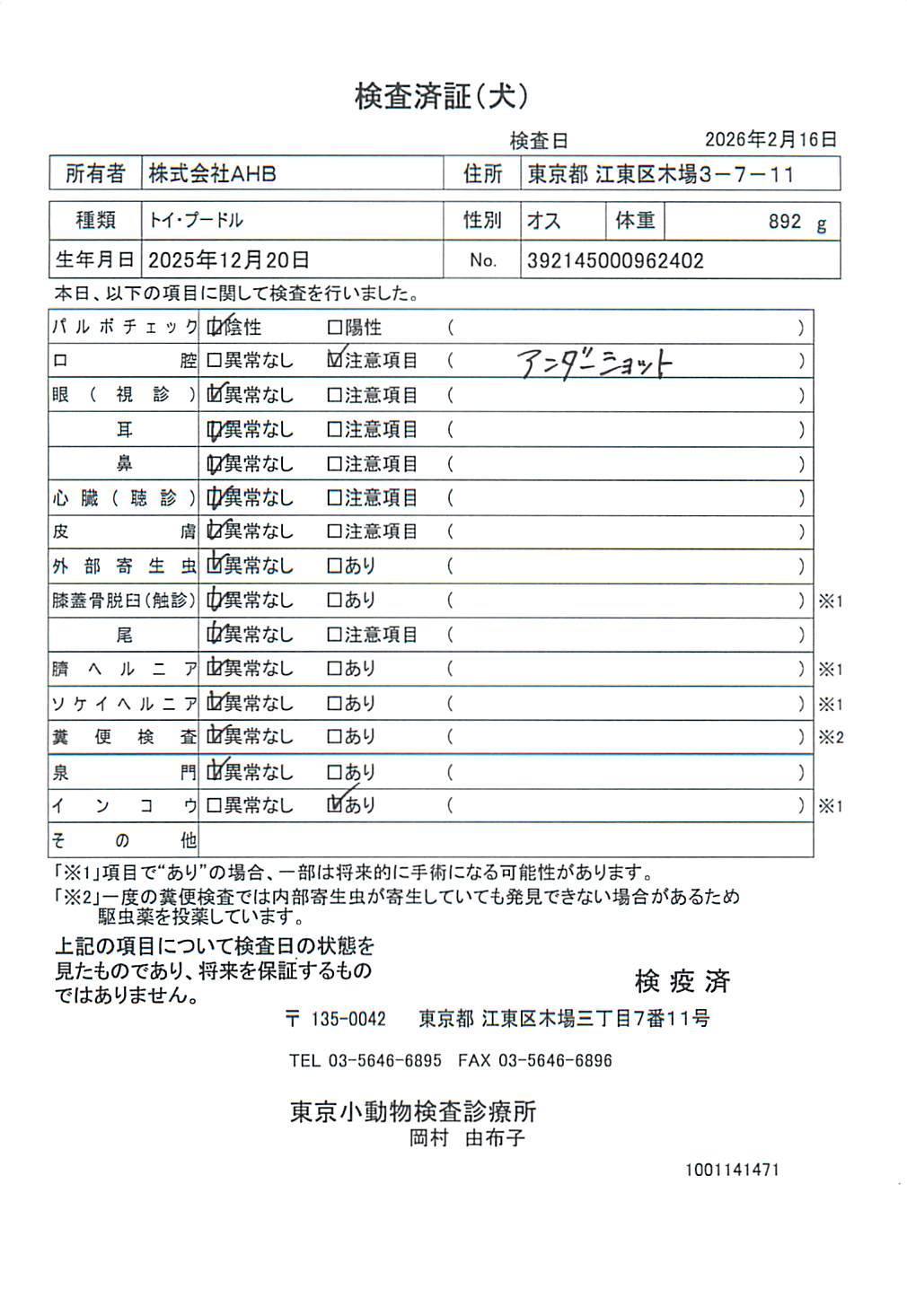 トイ・プードル