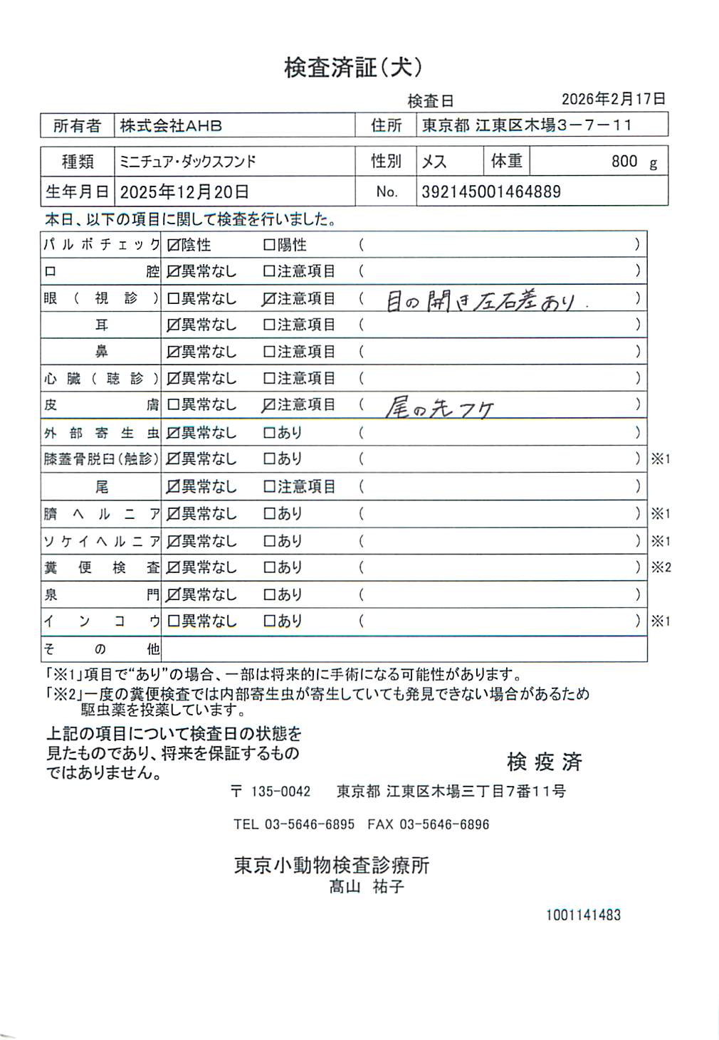 ミニチュア・ダックスフンド