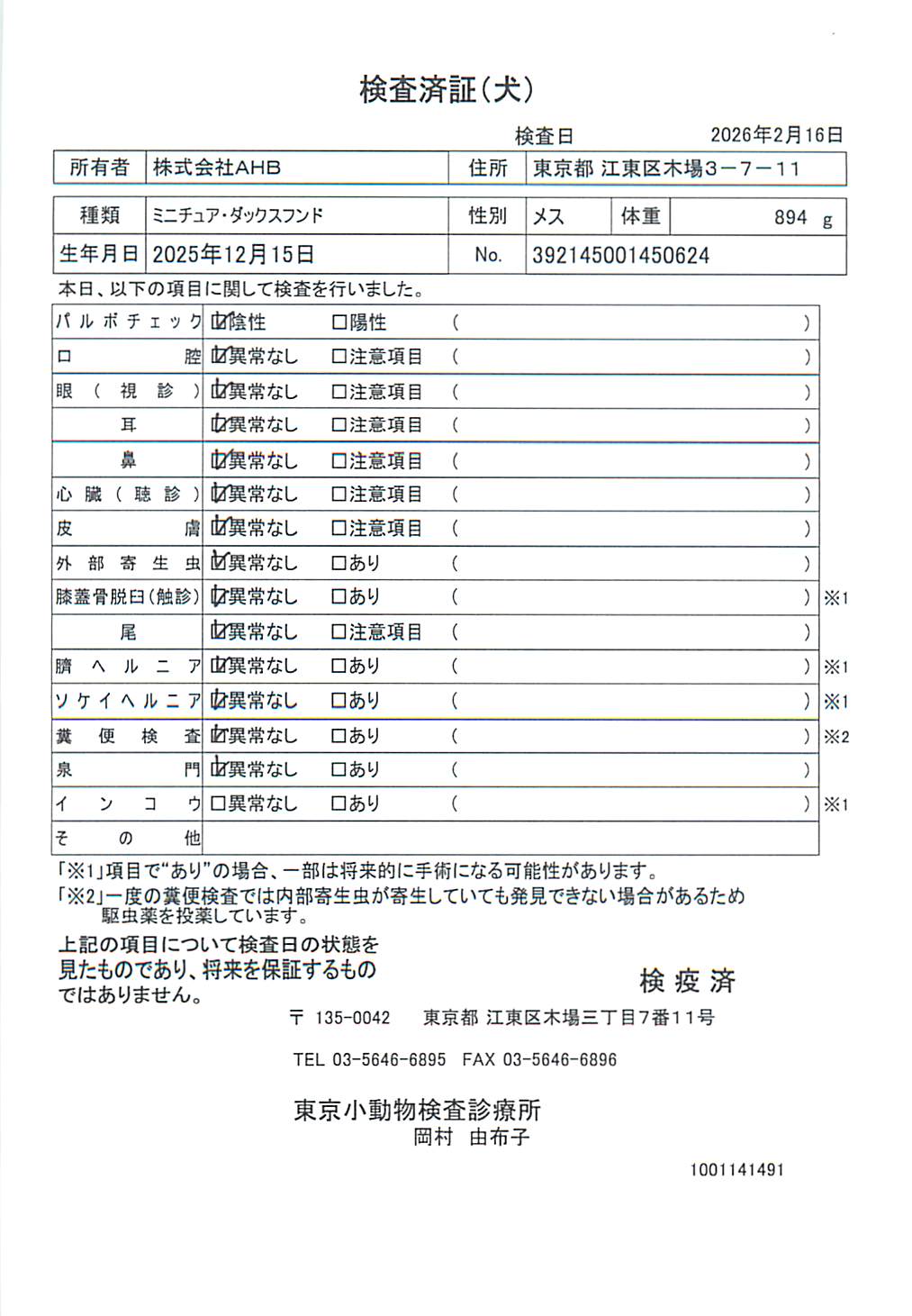 ミニチュア・ダックスフンド