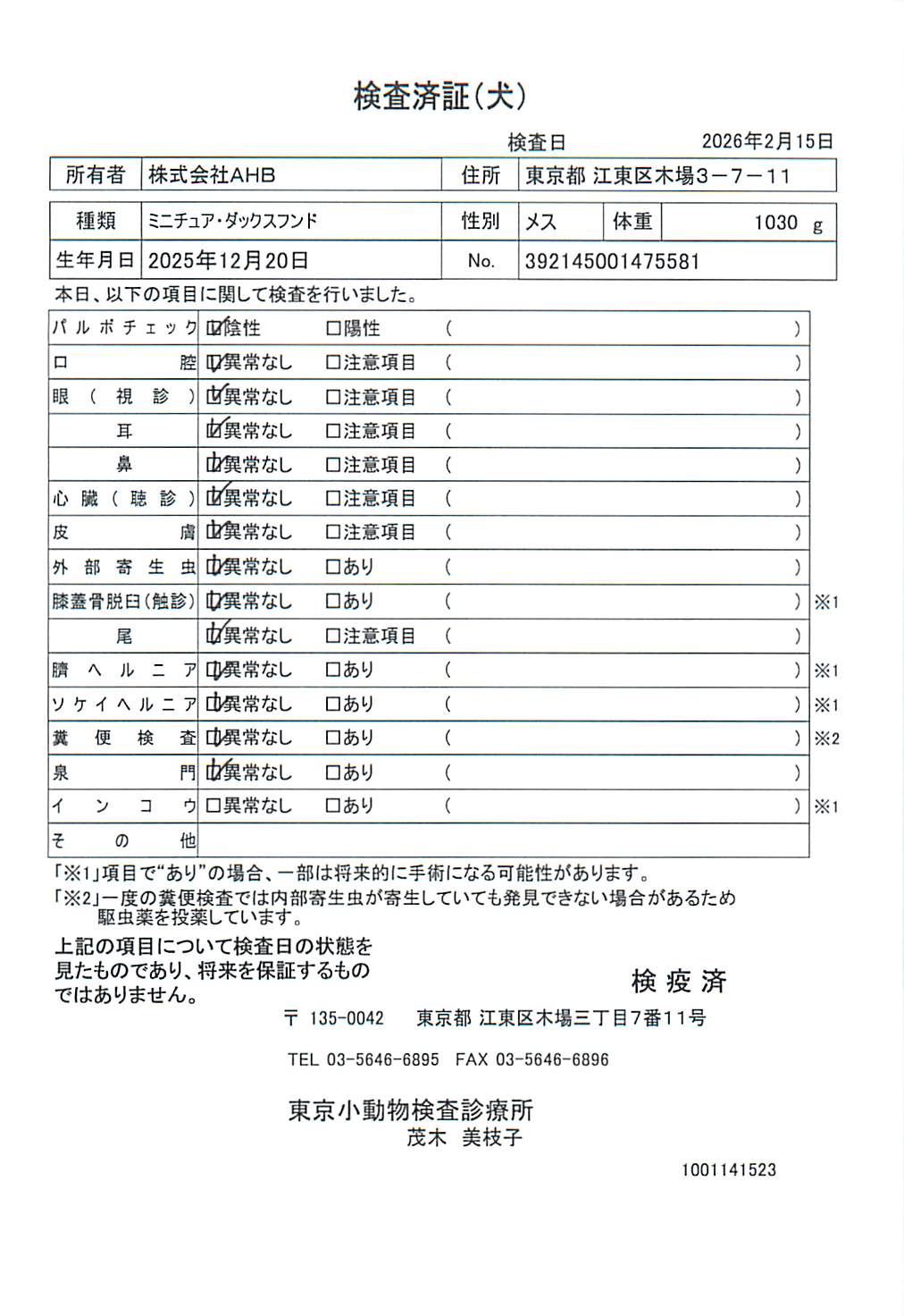 ミニチュア・ダックスフンド
