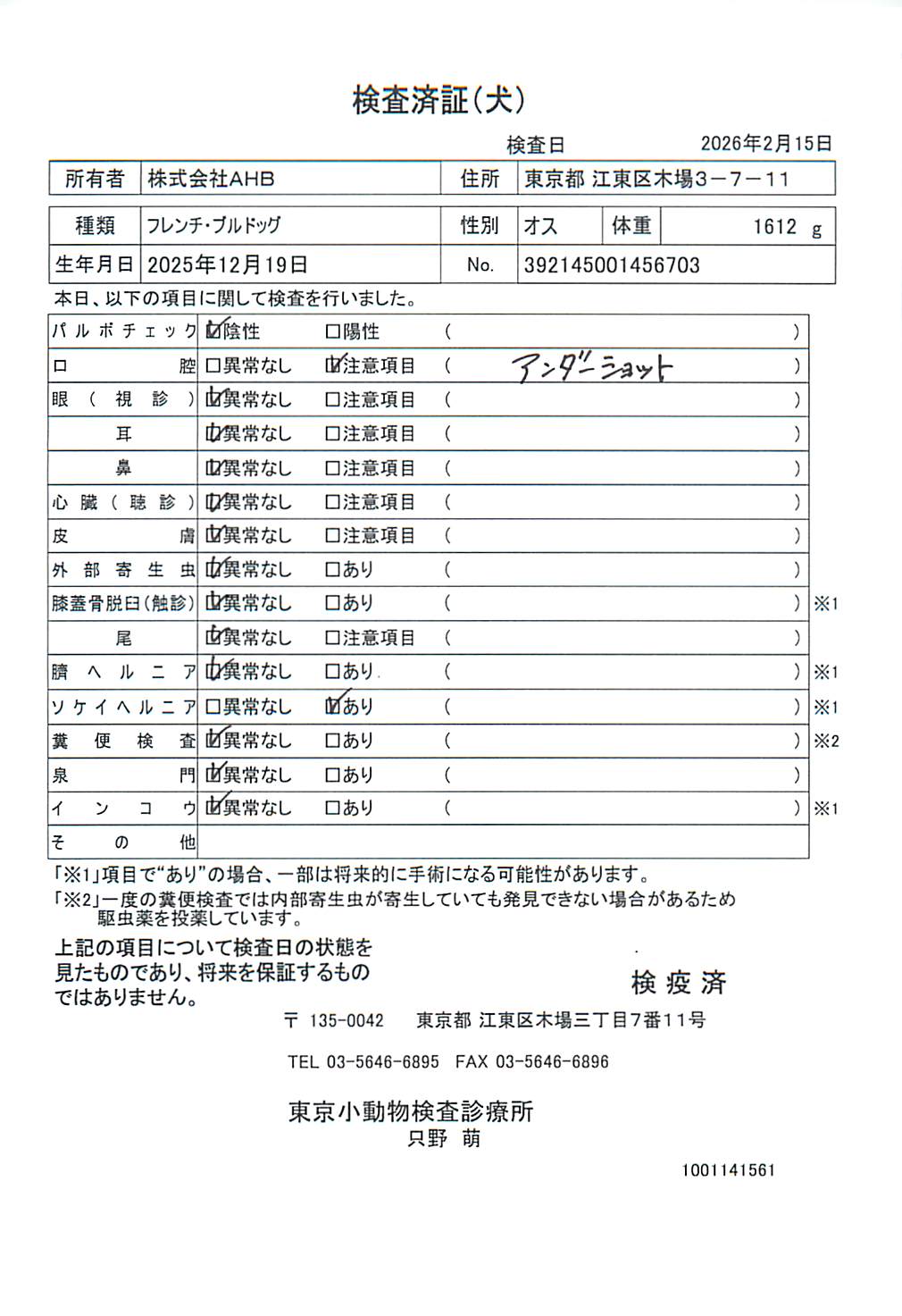 フレンチ・ブルドッグ