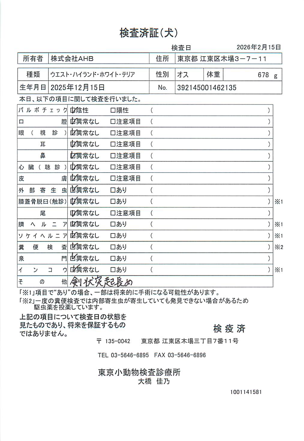 ウエスト・ハイランド・ホワイト・テリア