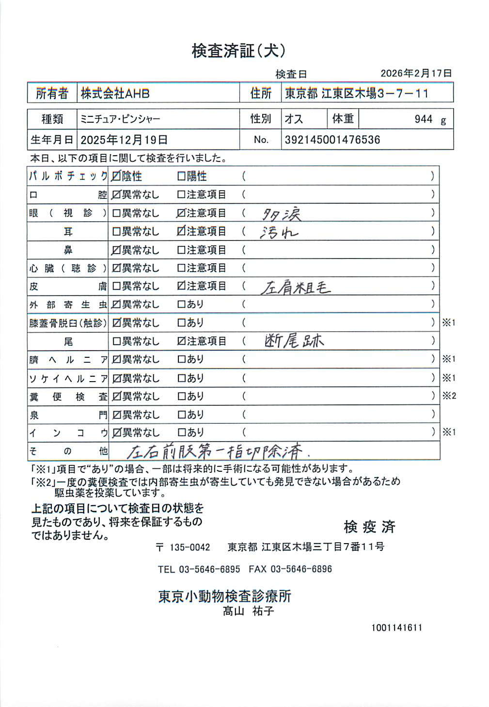 ミニチュア・ピンシャー