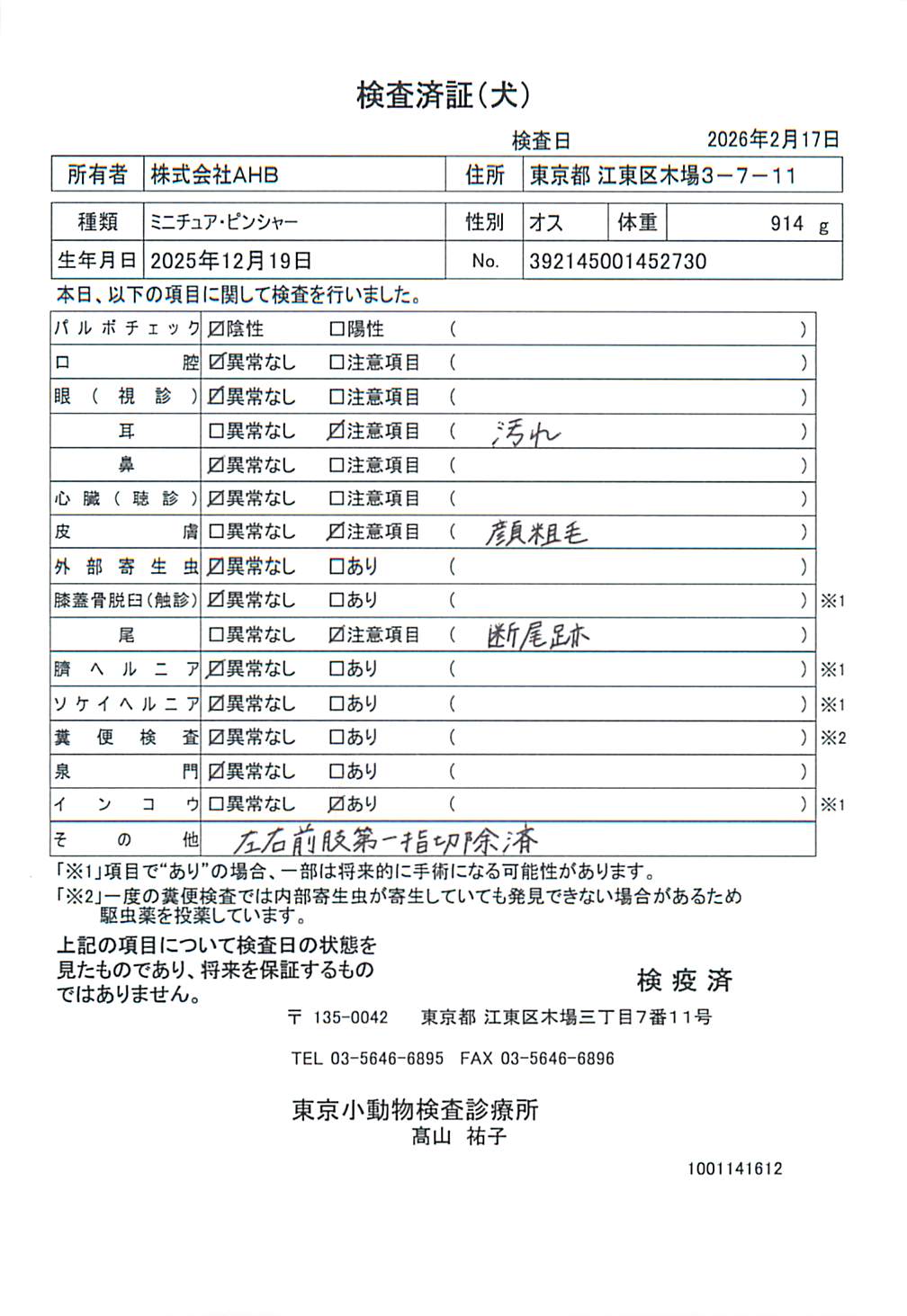 ミニチュア・ピンシャー