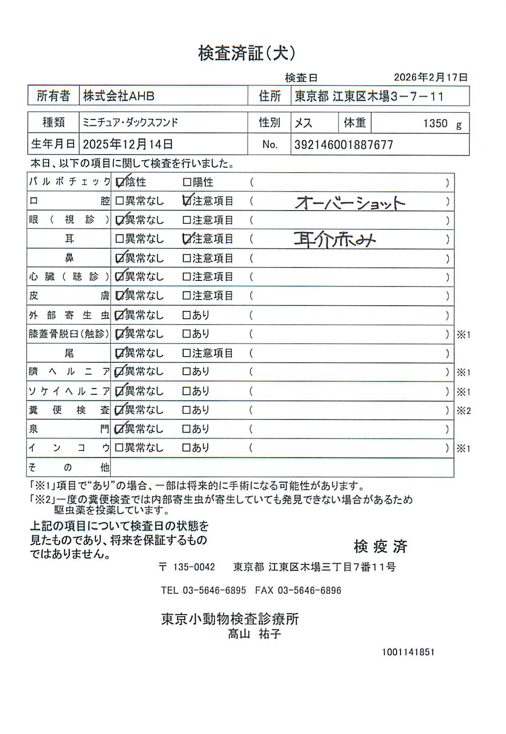 ミニチュア・ダックスフンド