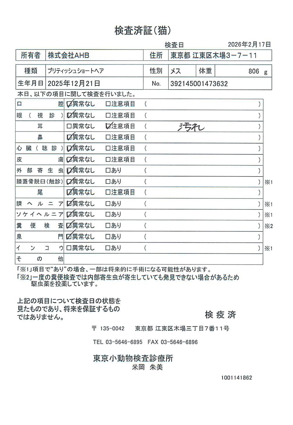 ブリティッシュショートヘア