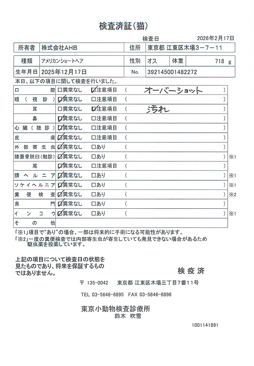 アメリカンショートヘア