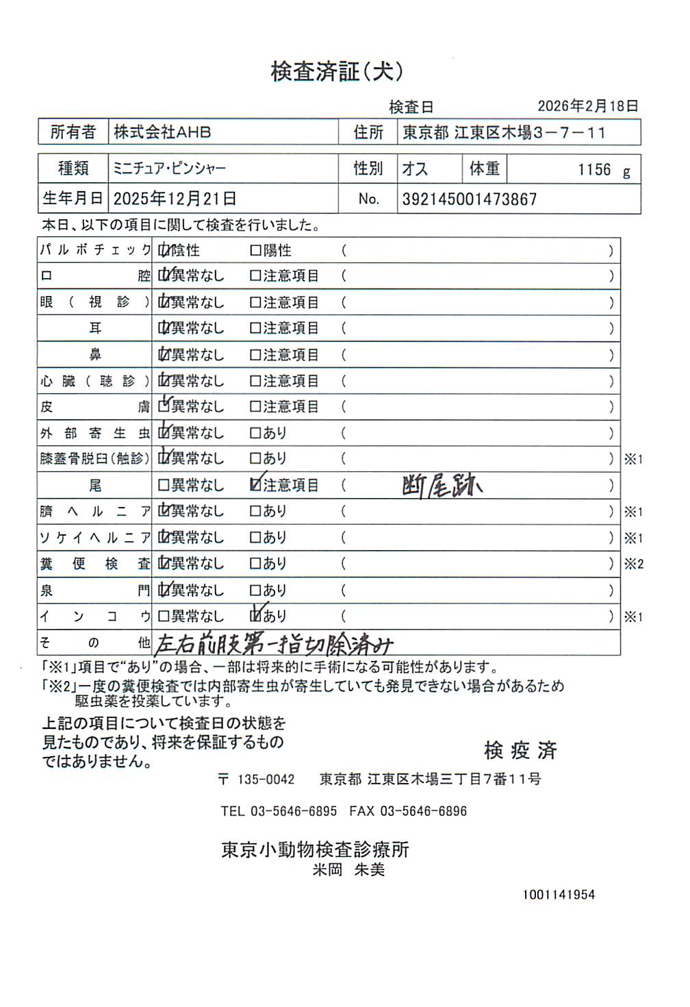 ミニチュア・ピンシャー