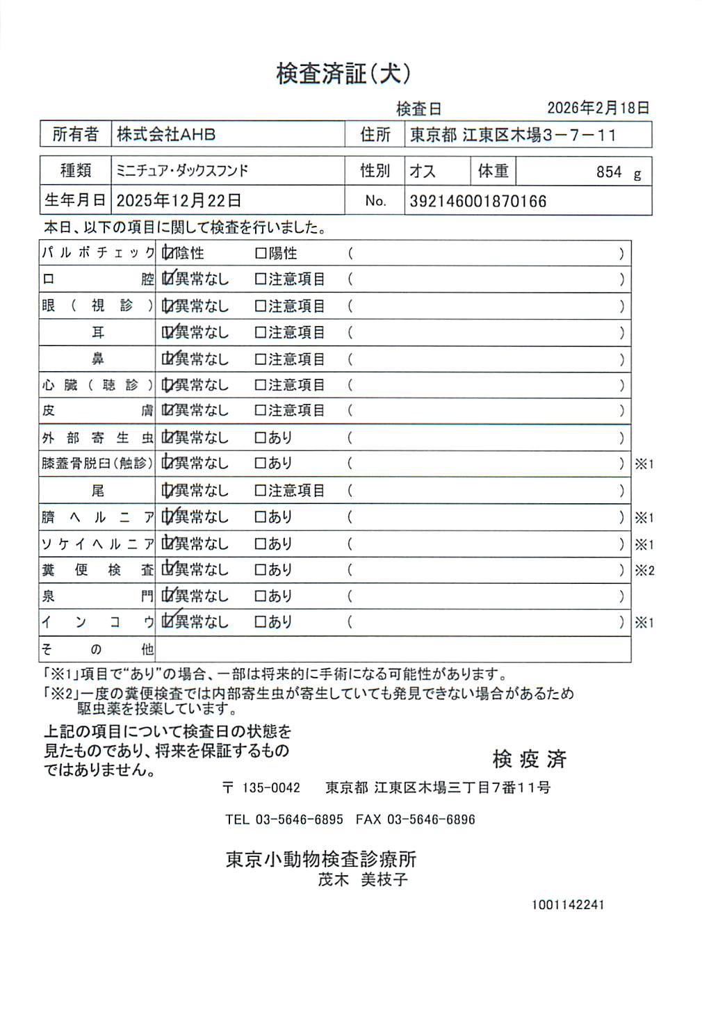 ミニチュア・ダックスフンド