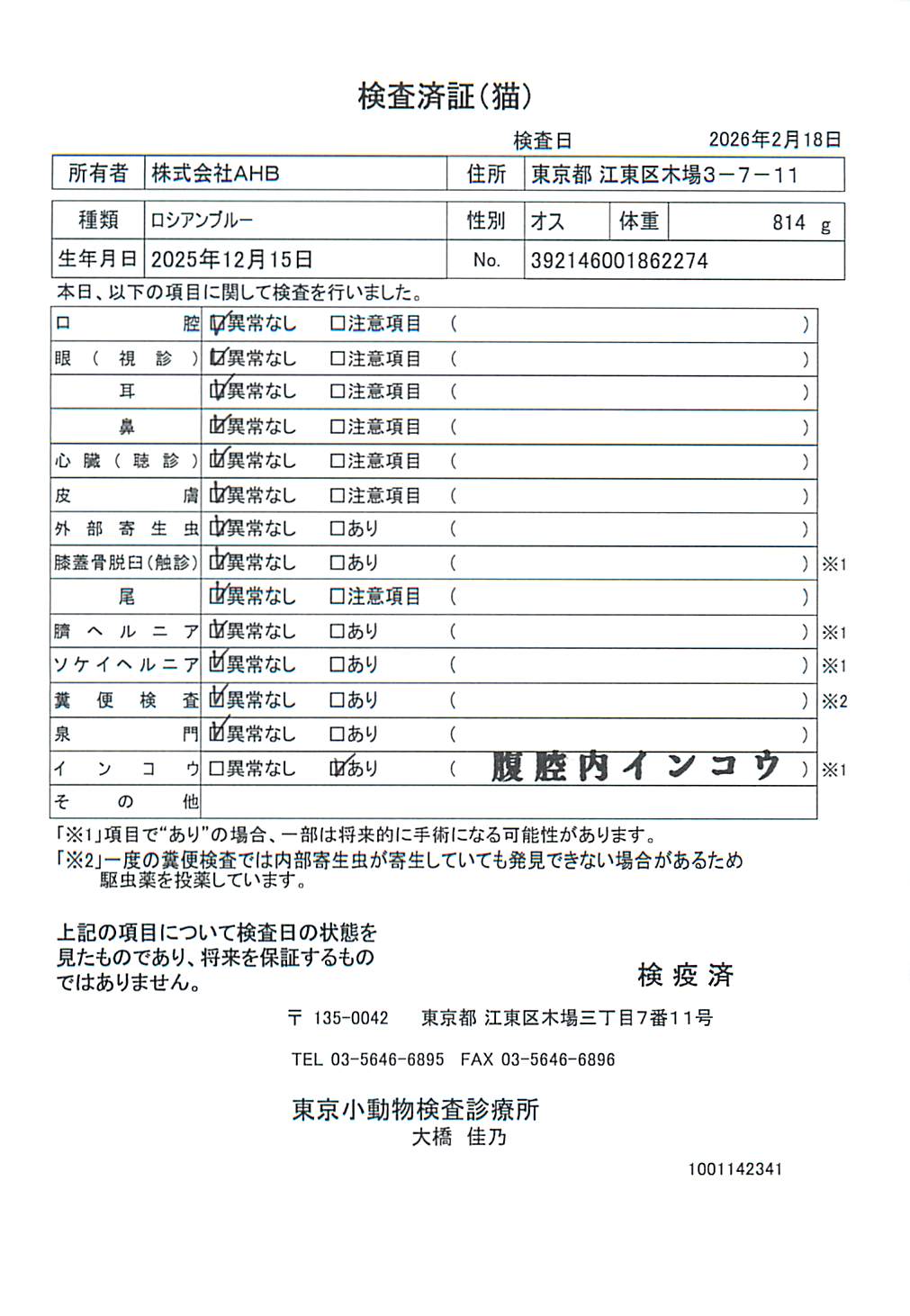 ロシアンブルー