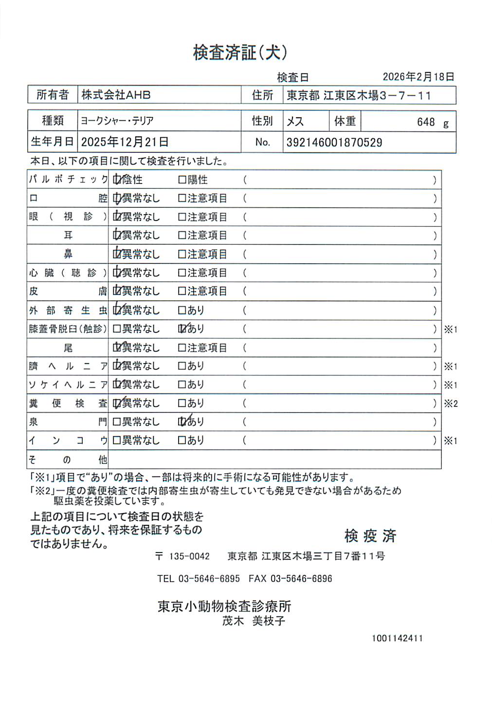 ヨークシャー・テリア