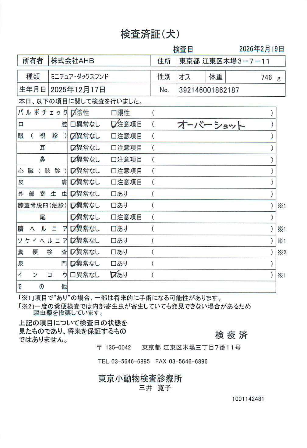 ミニチュア・ダックスフンド
