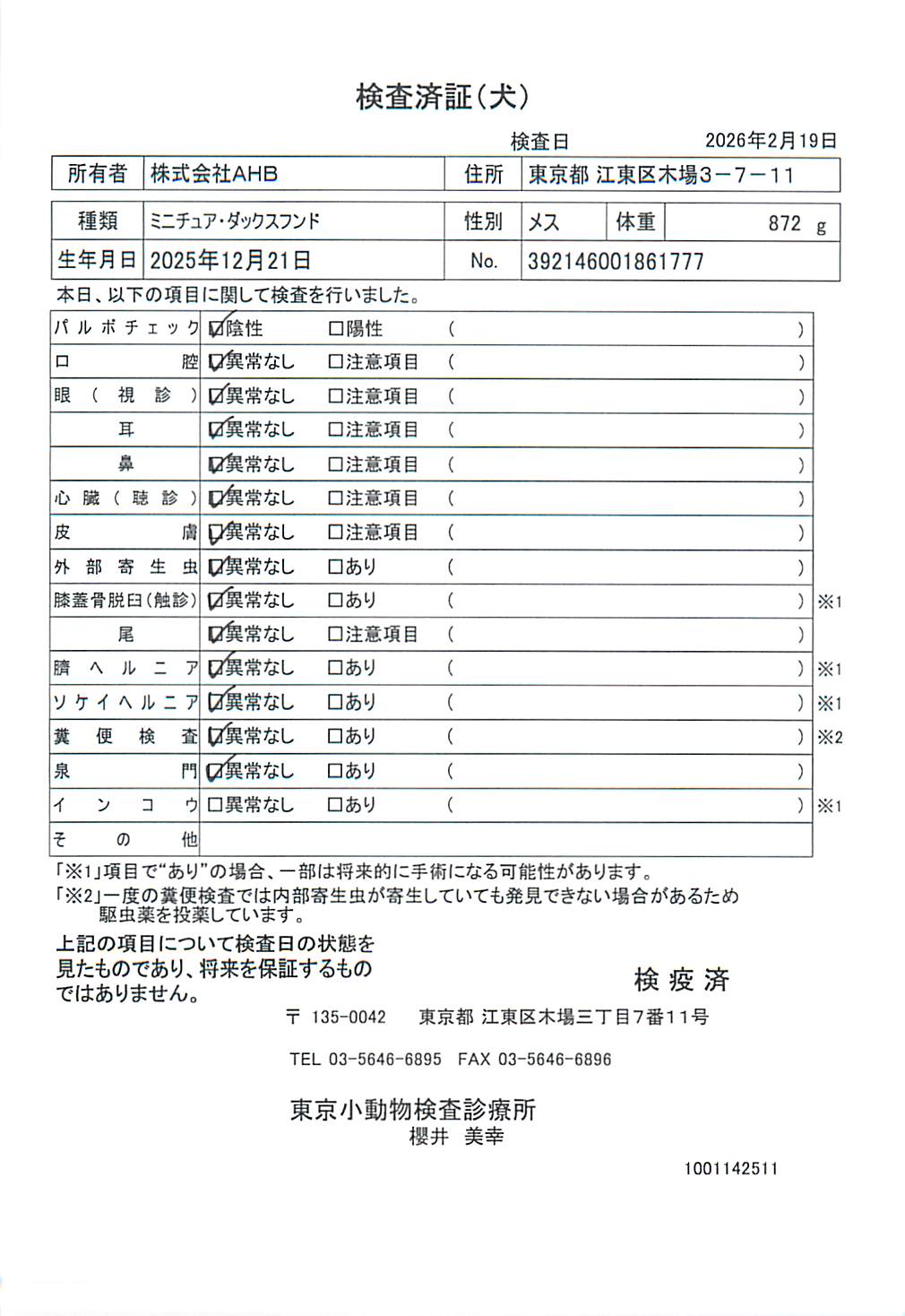 ミニチュア・ダックスフンド