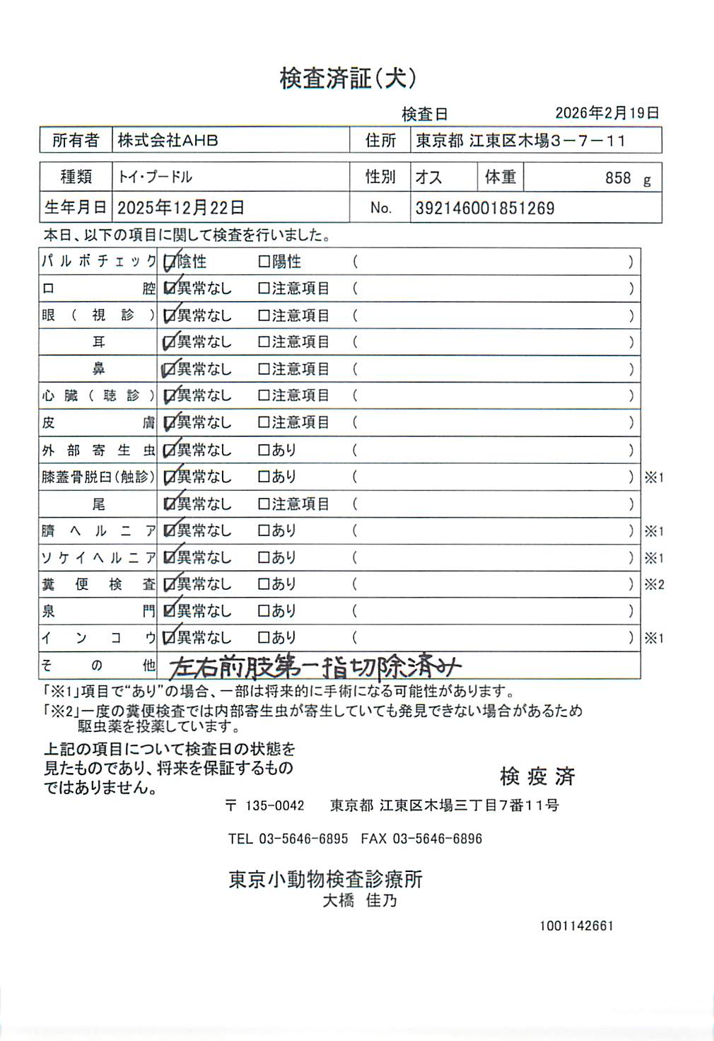 トイ・プードル