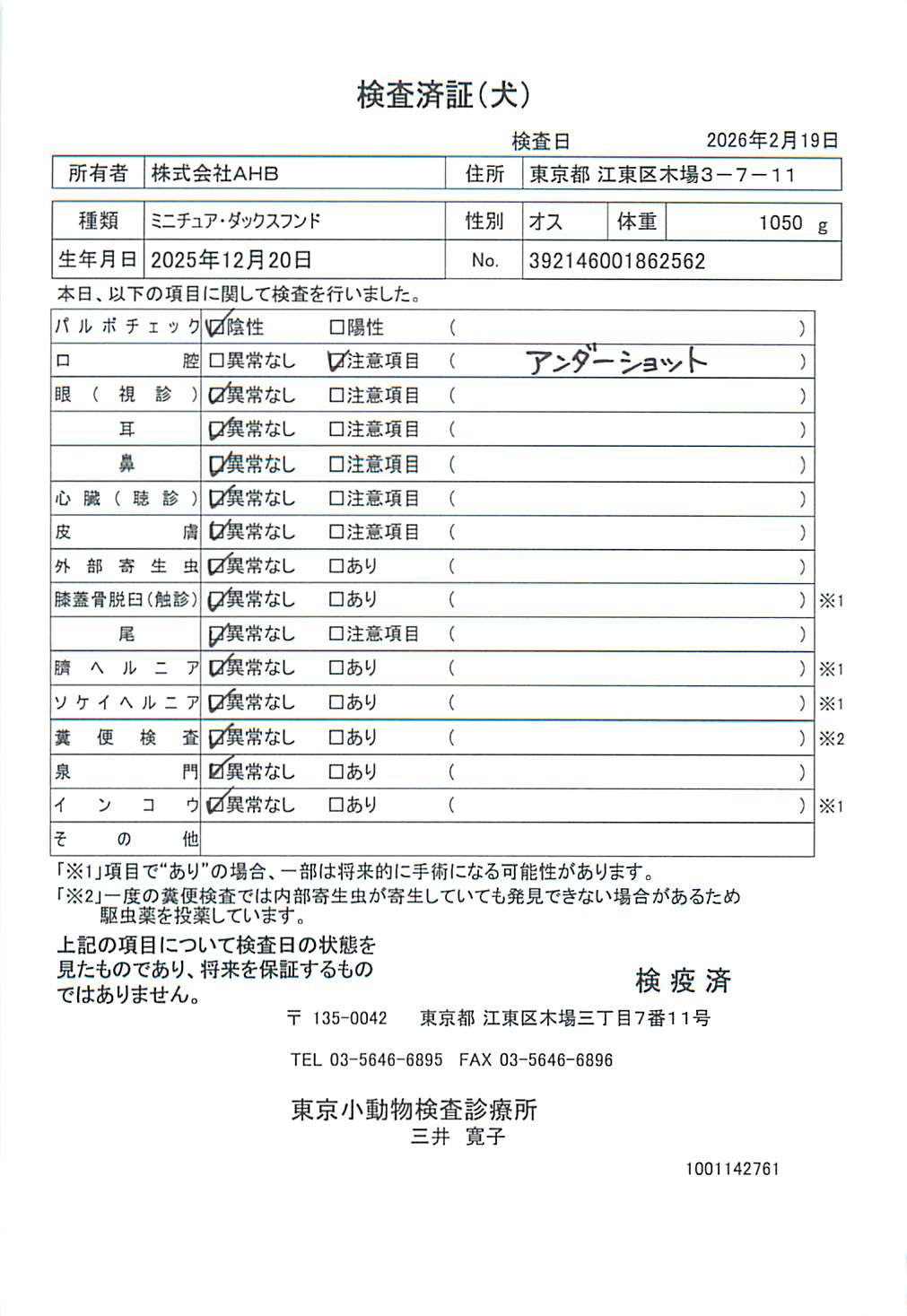 ミニチュア・ダックスフンド