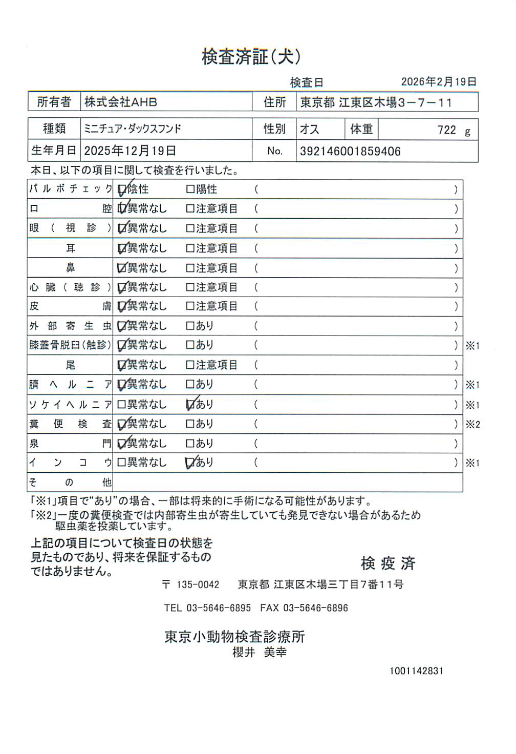 ミニチュア・ダックスフンド