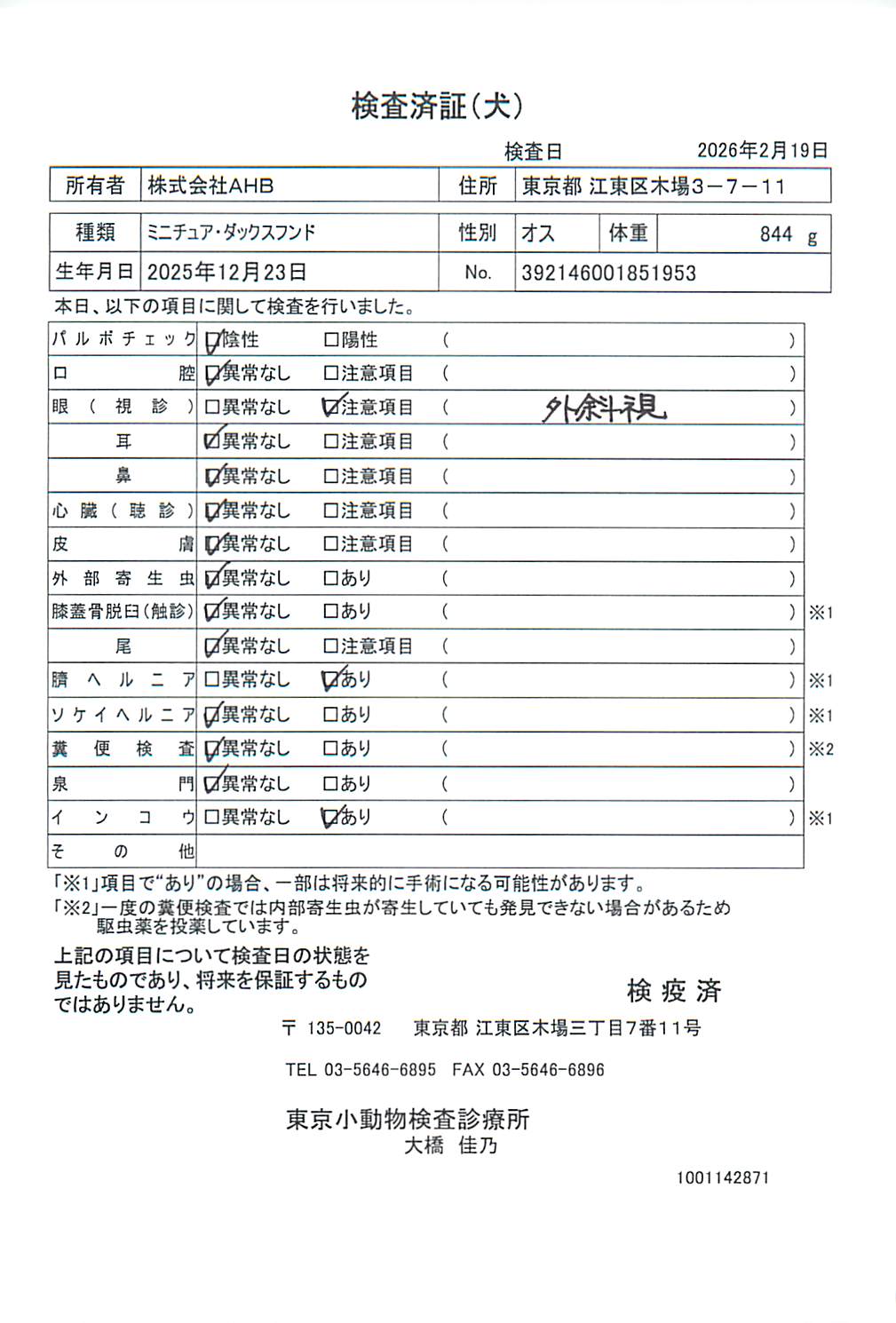 ミニチュア・ダックスフンド