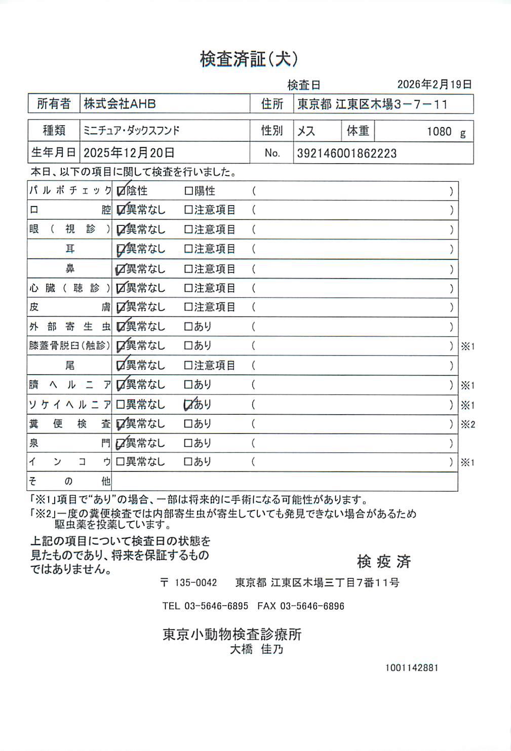 ミニチュア・ダックスフンド