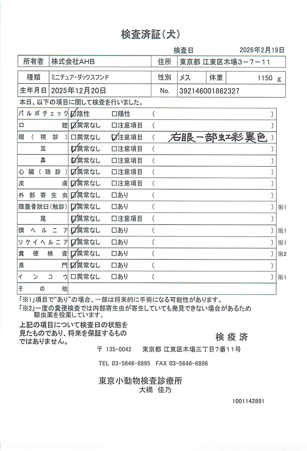 ミニチュア・ダックスフンド