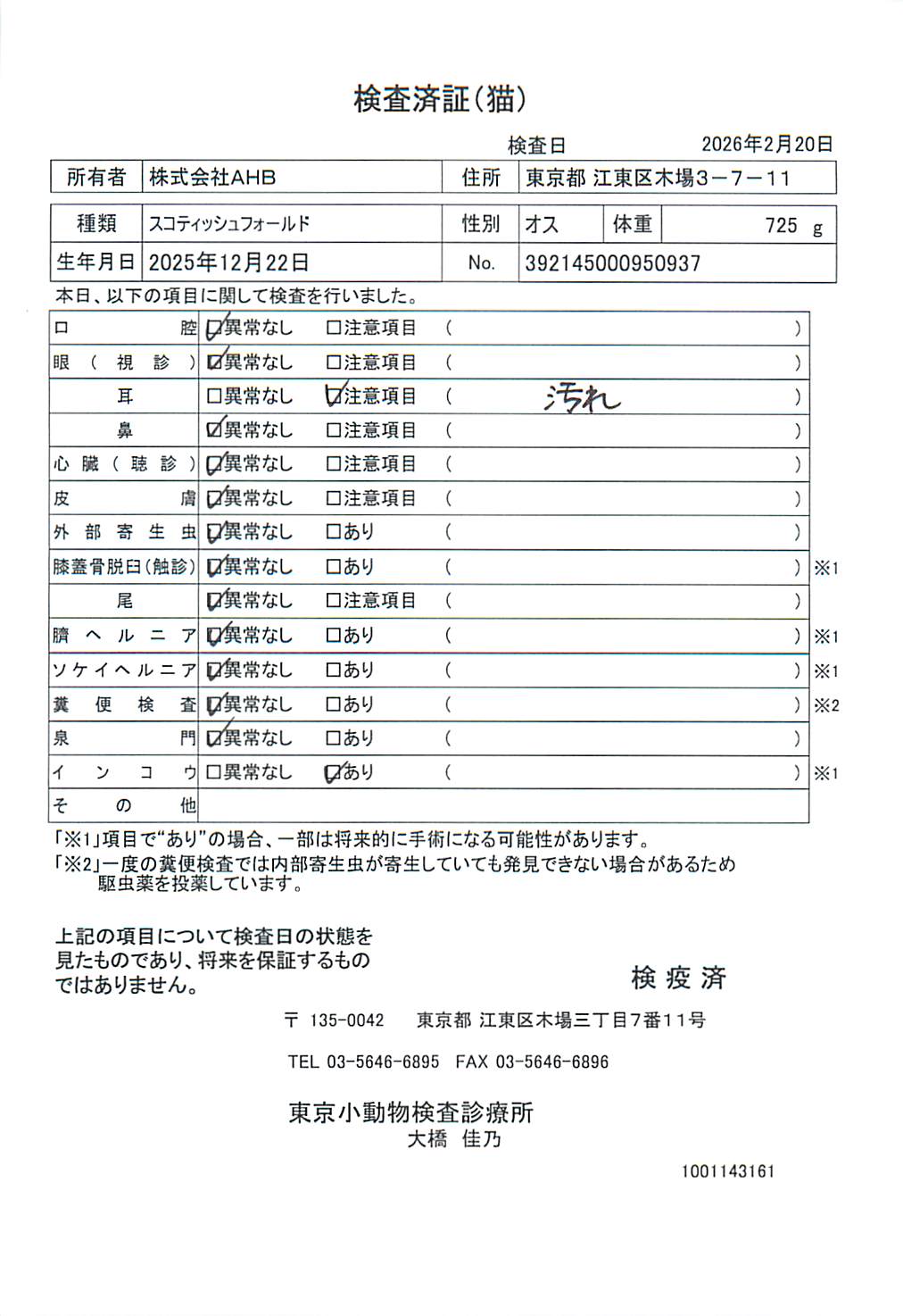 スコティッシュフォールド