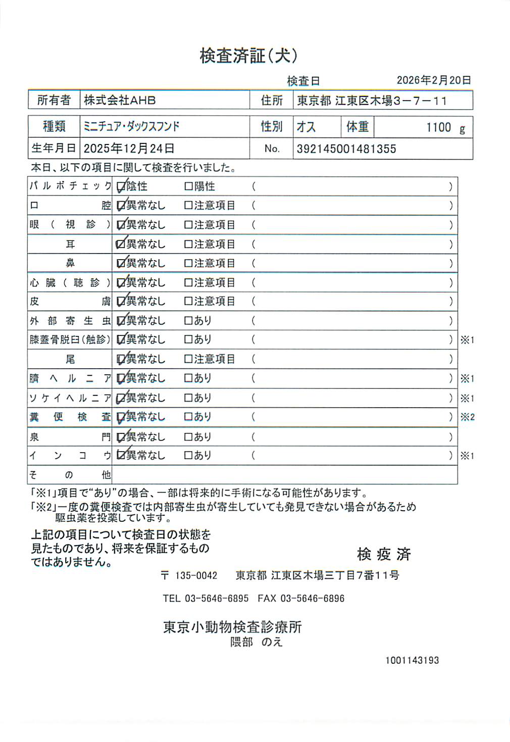 ミニチュア・ダックスフンド