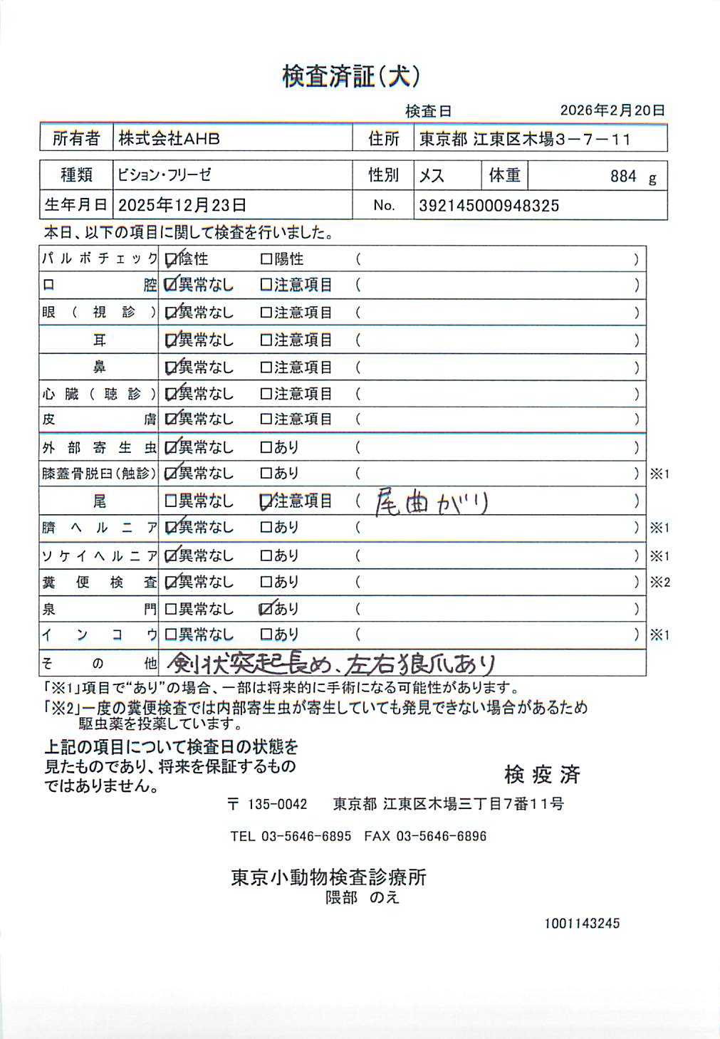 ビション・フリーゼ