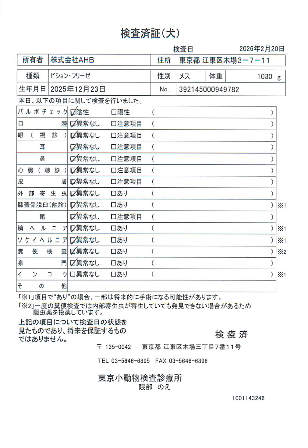 ビション・フリーゼ