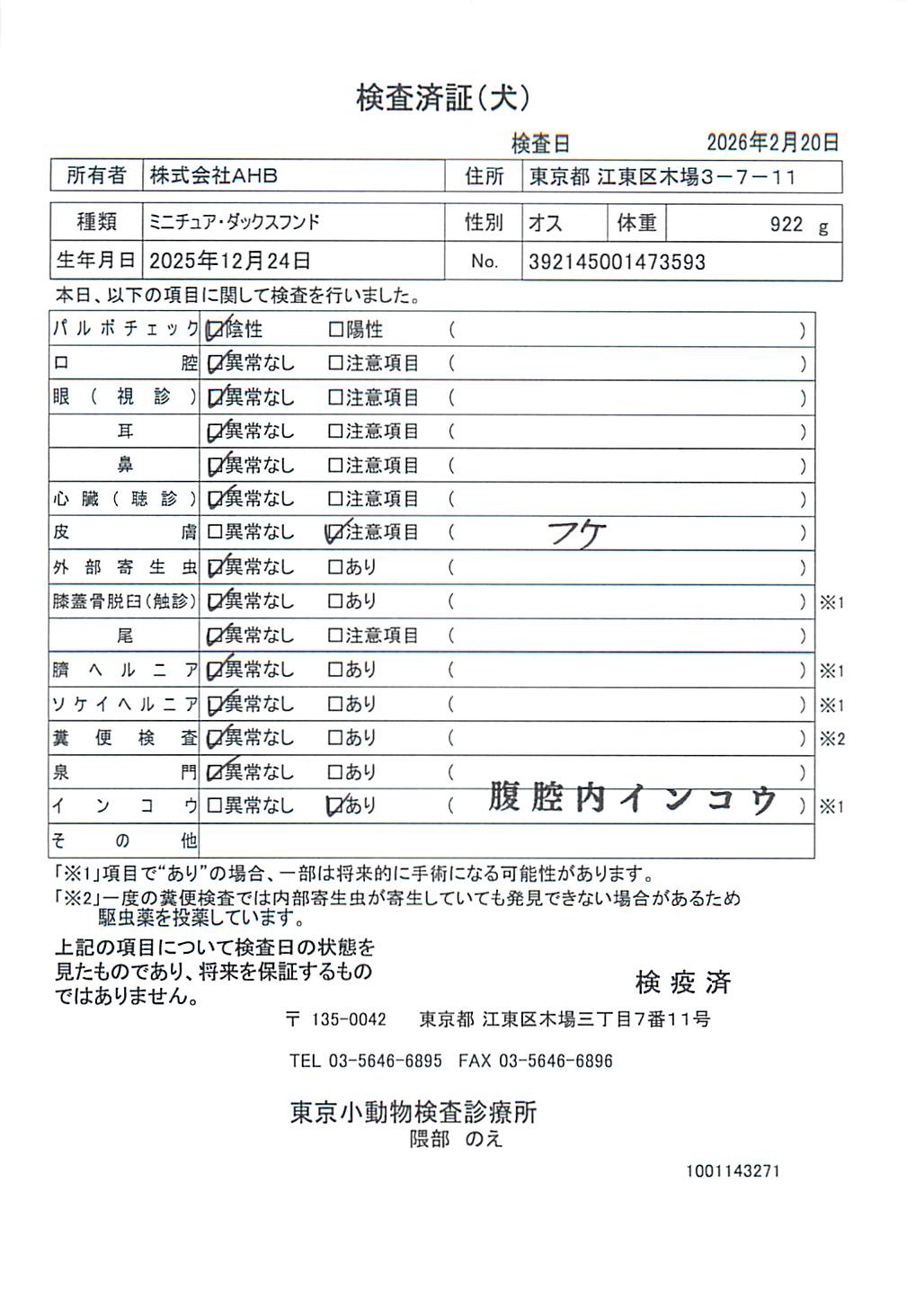 ミニチュア・ダックスフンド