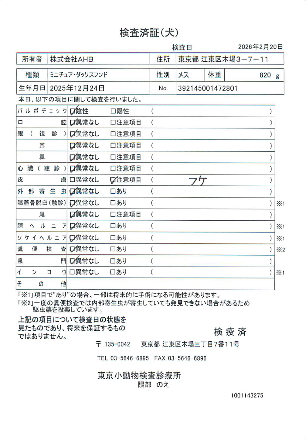 ミニチュア・ダックスフンド