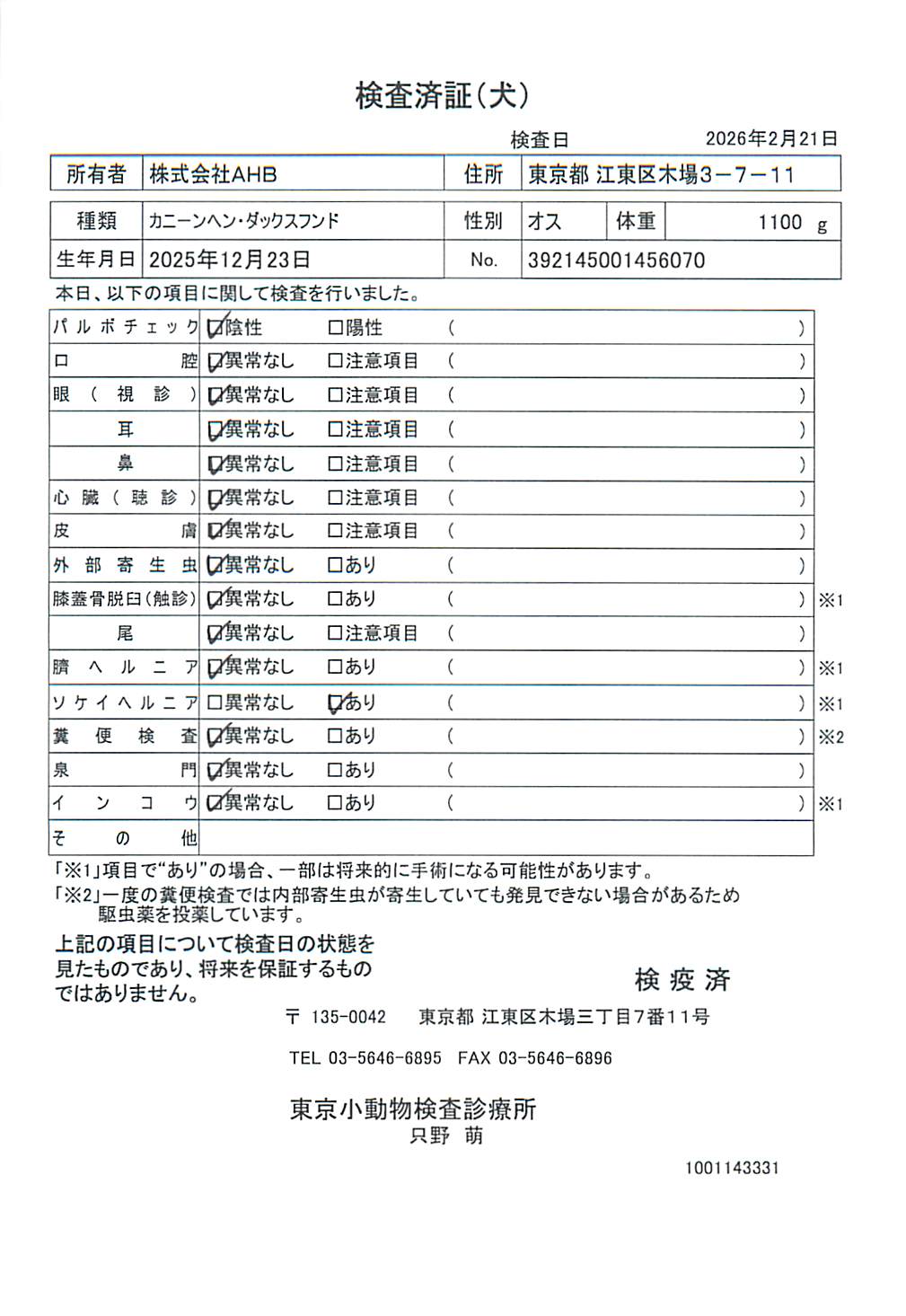 カニーンヘン・ダックスフンド