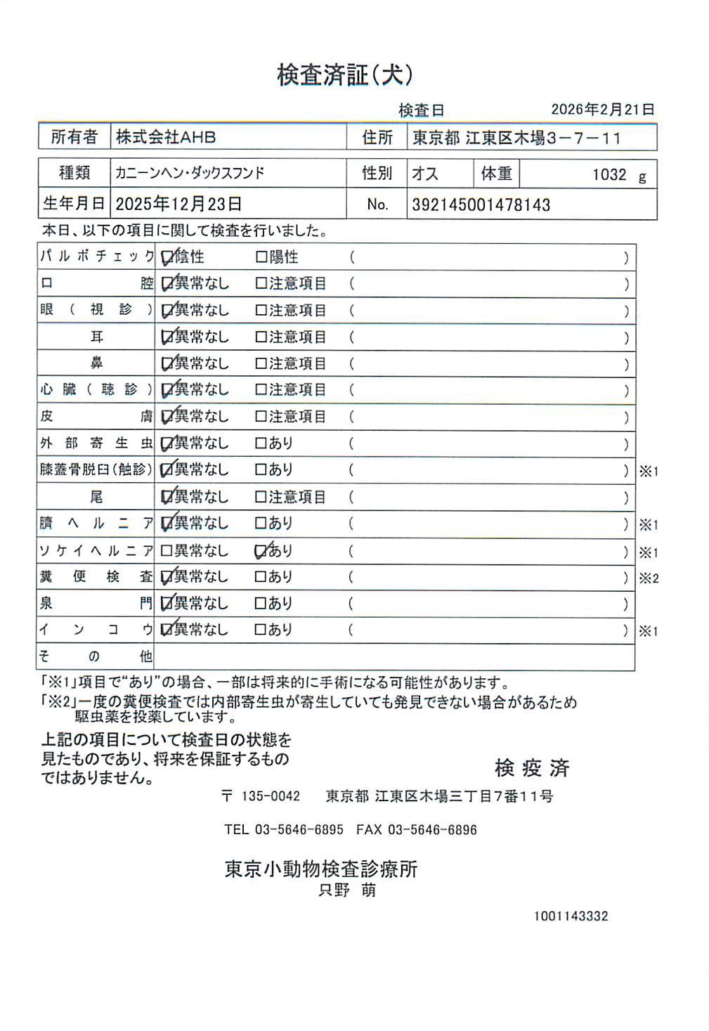 カニーンヘン・ダックスフンド
