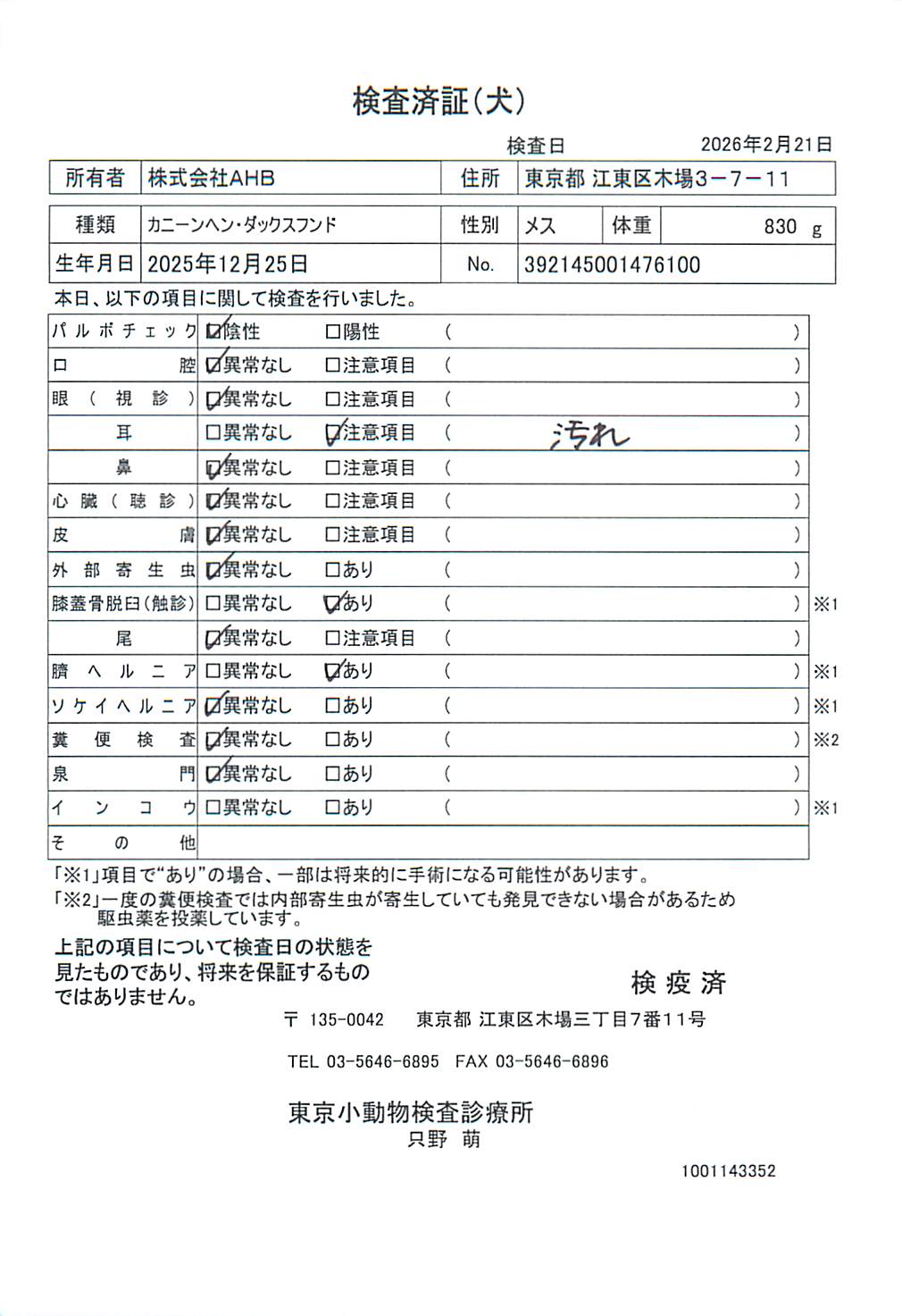 カニーンヘン・ダックスフンド