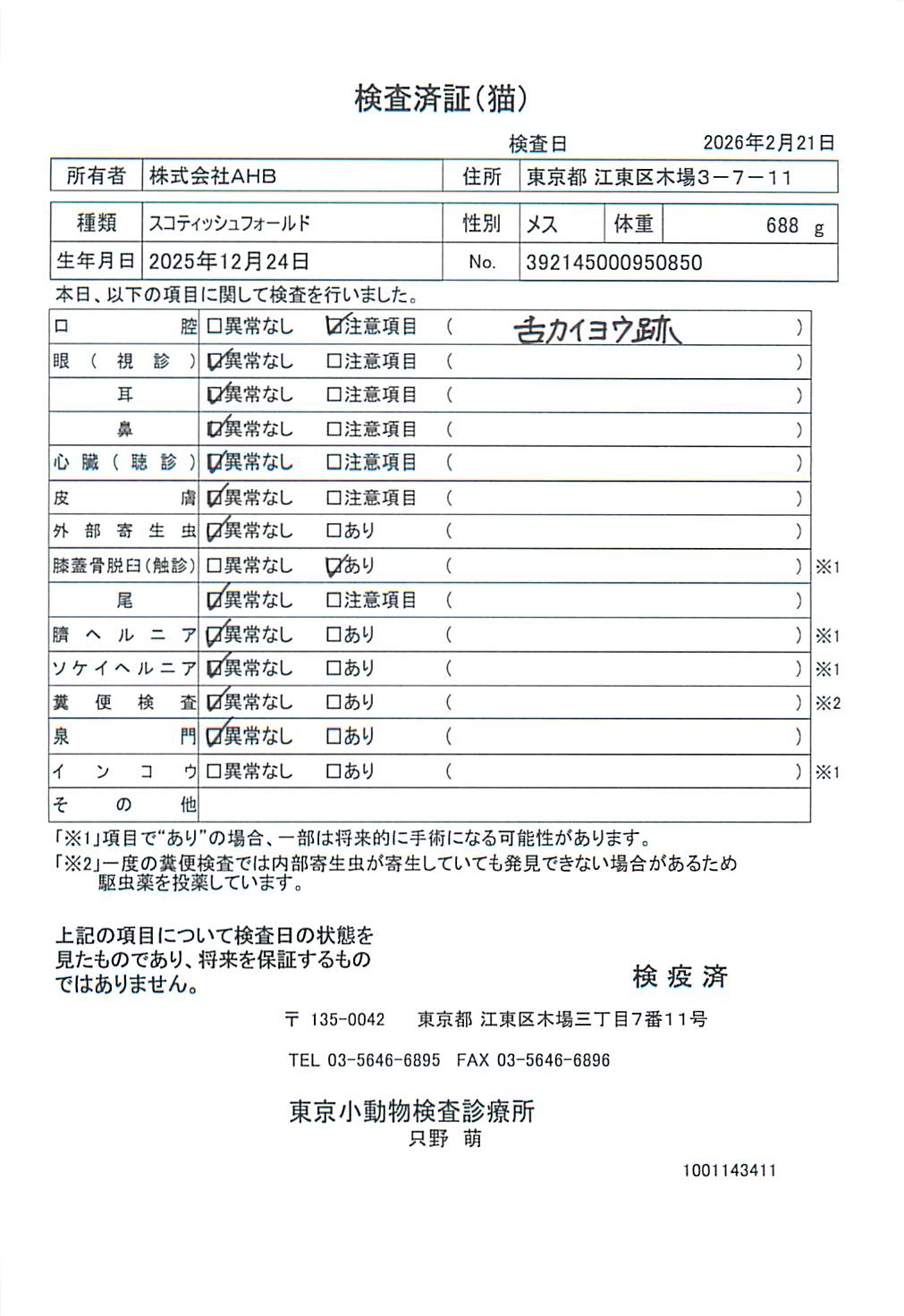 スコティッシュフォールド