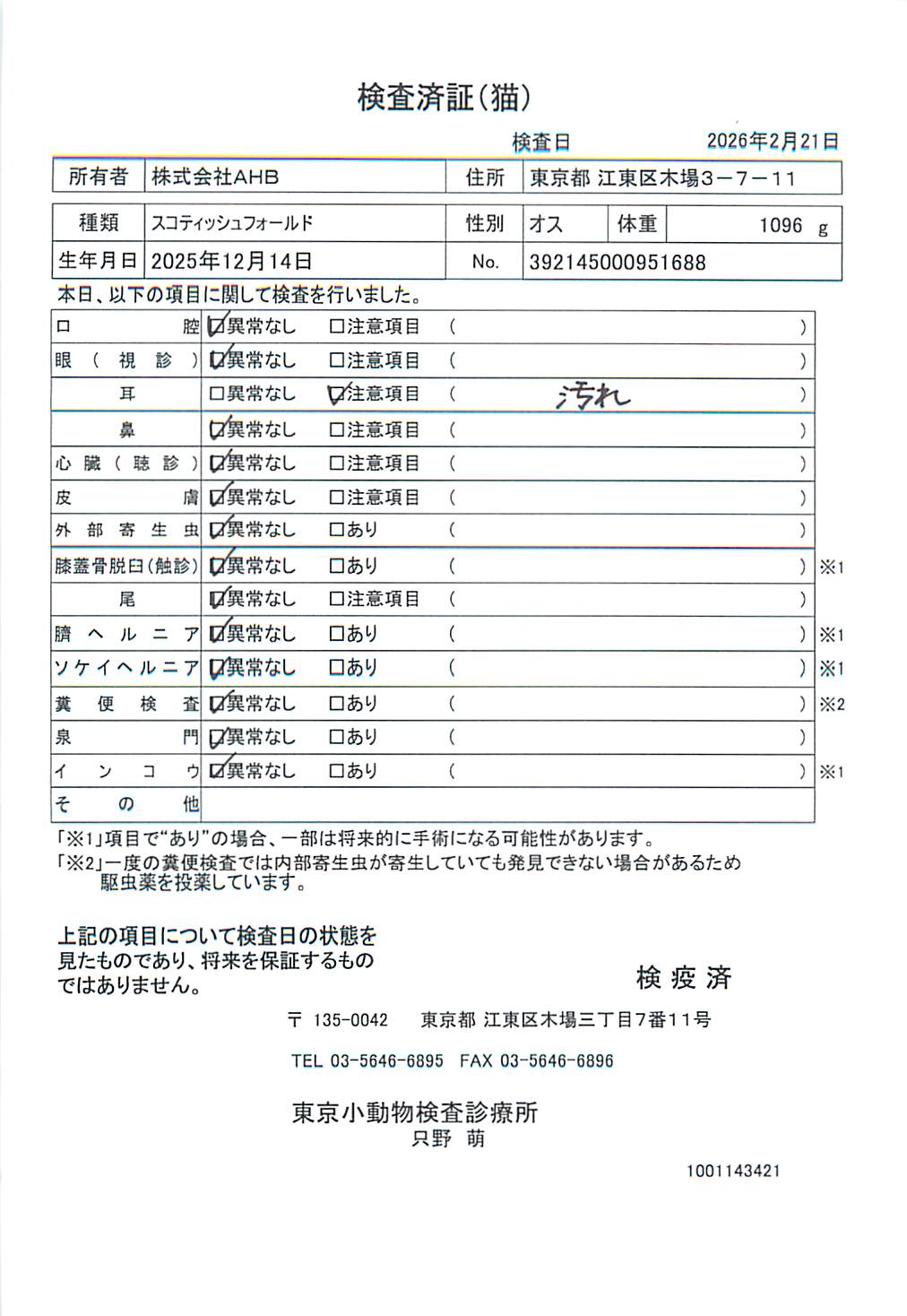 スコティッシュフォールド