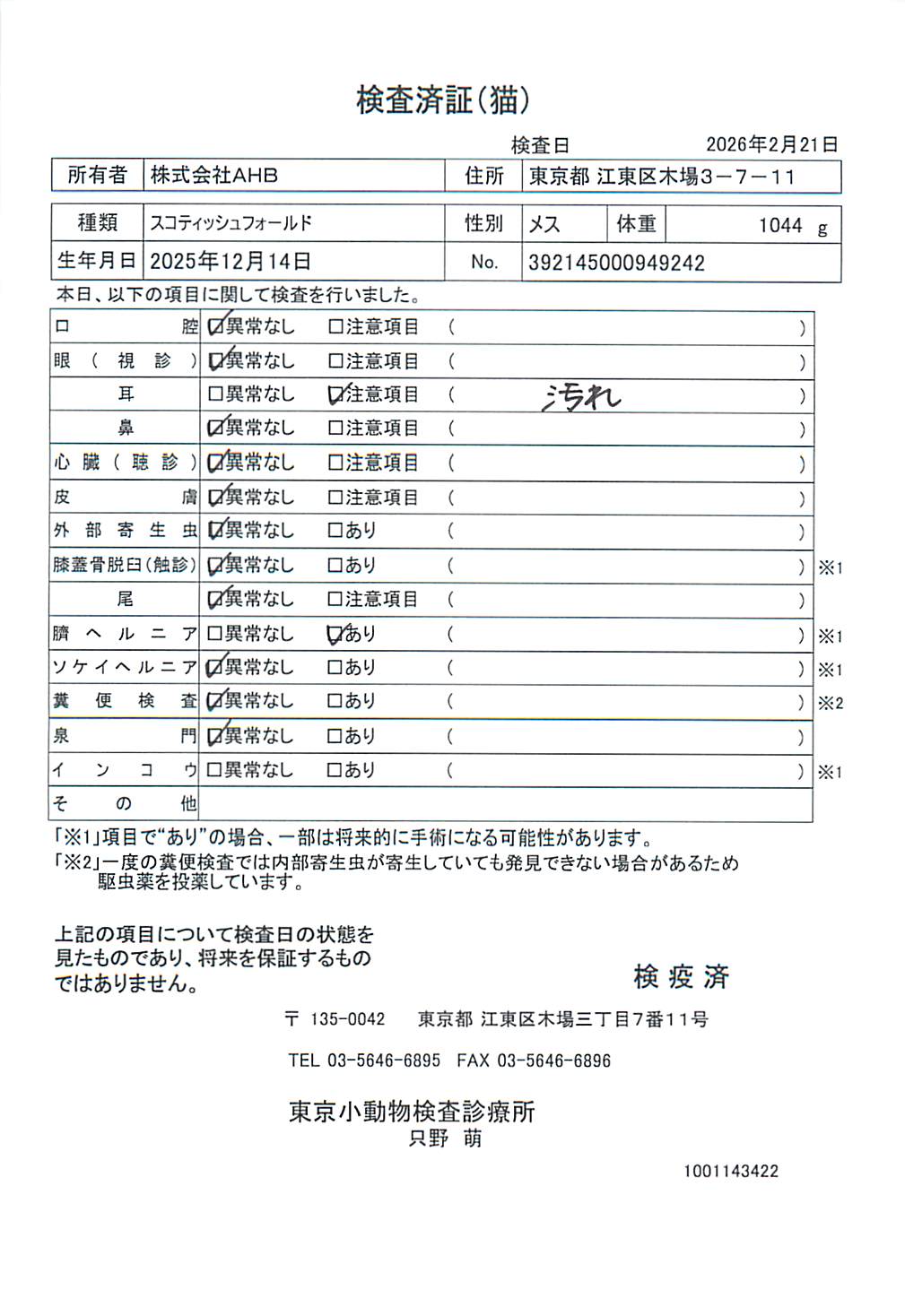 スコティッシュフォールド