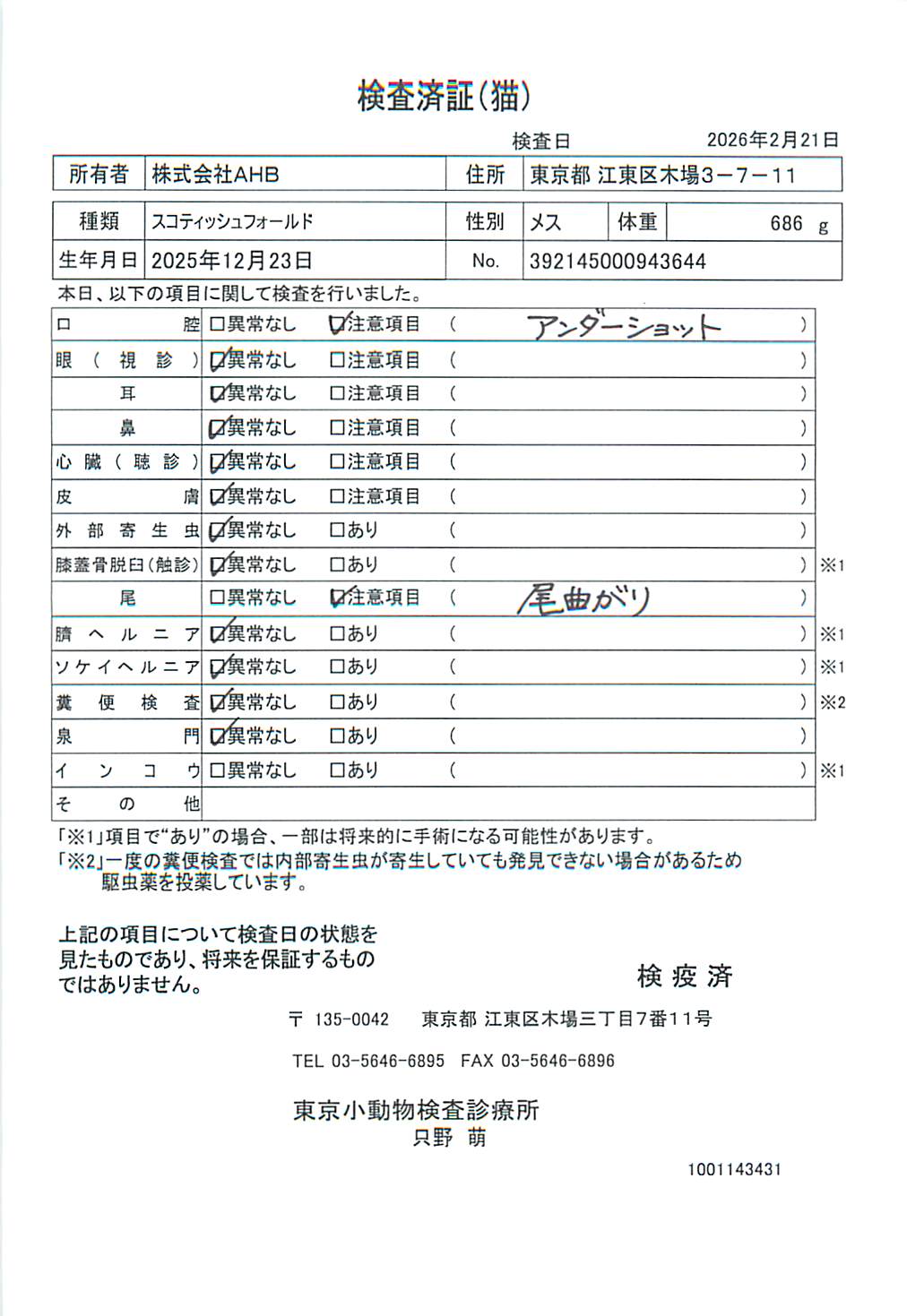 スコティッシュフォールド